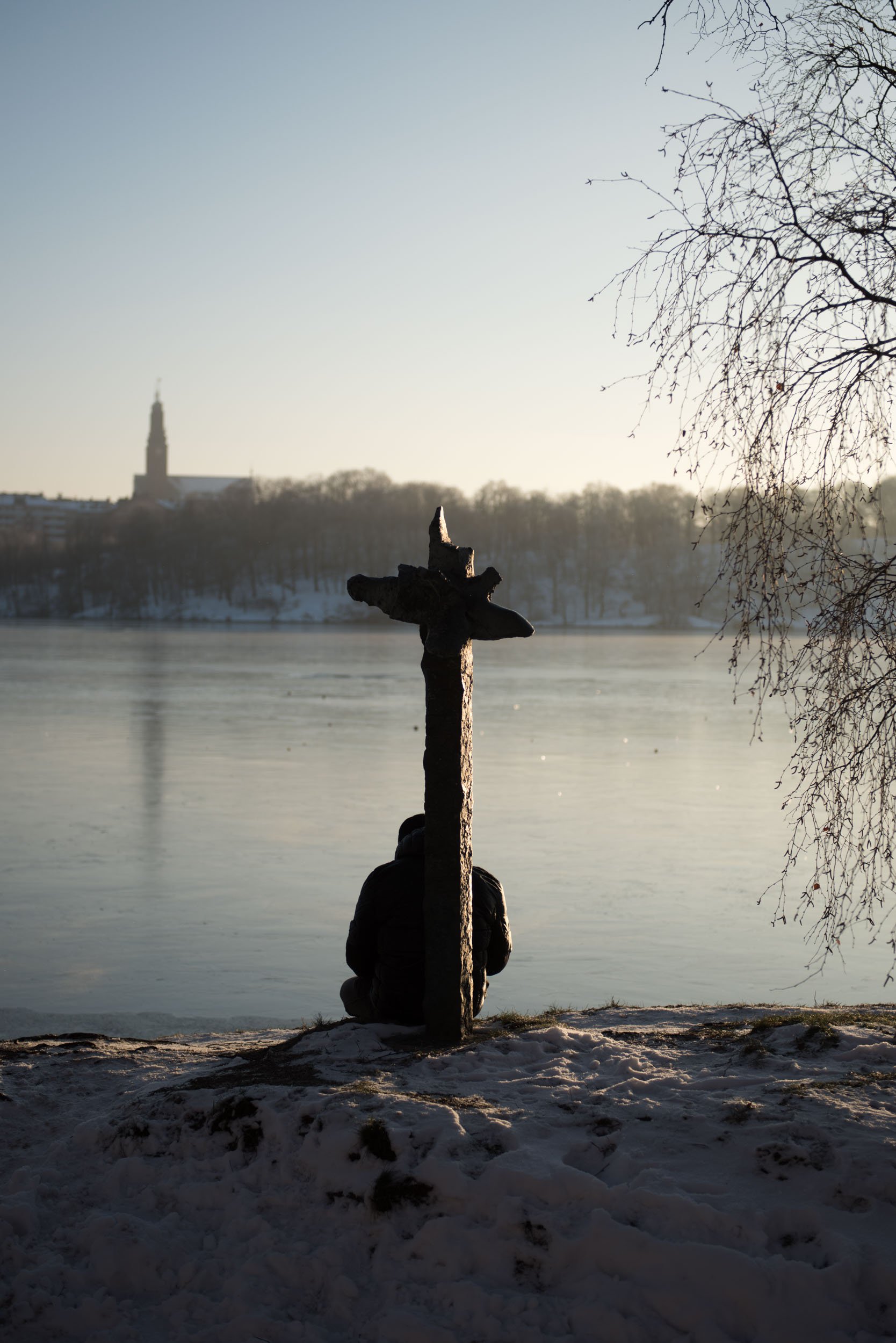 _DSC8345.jpeg