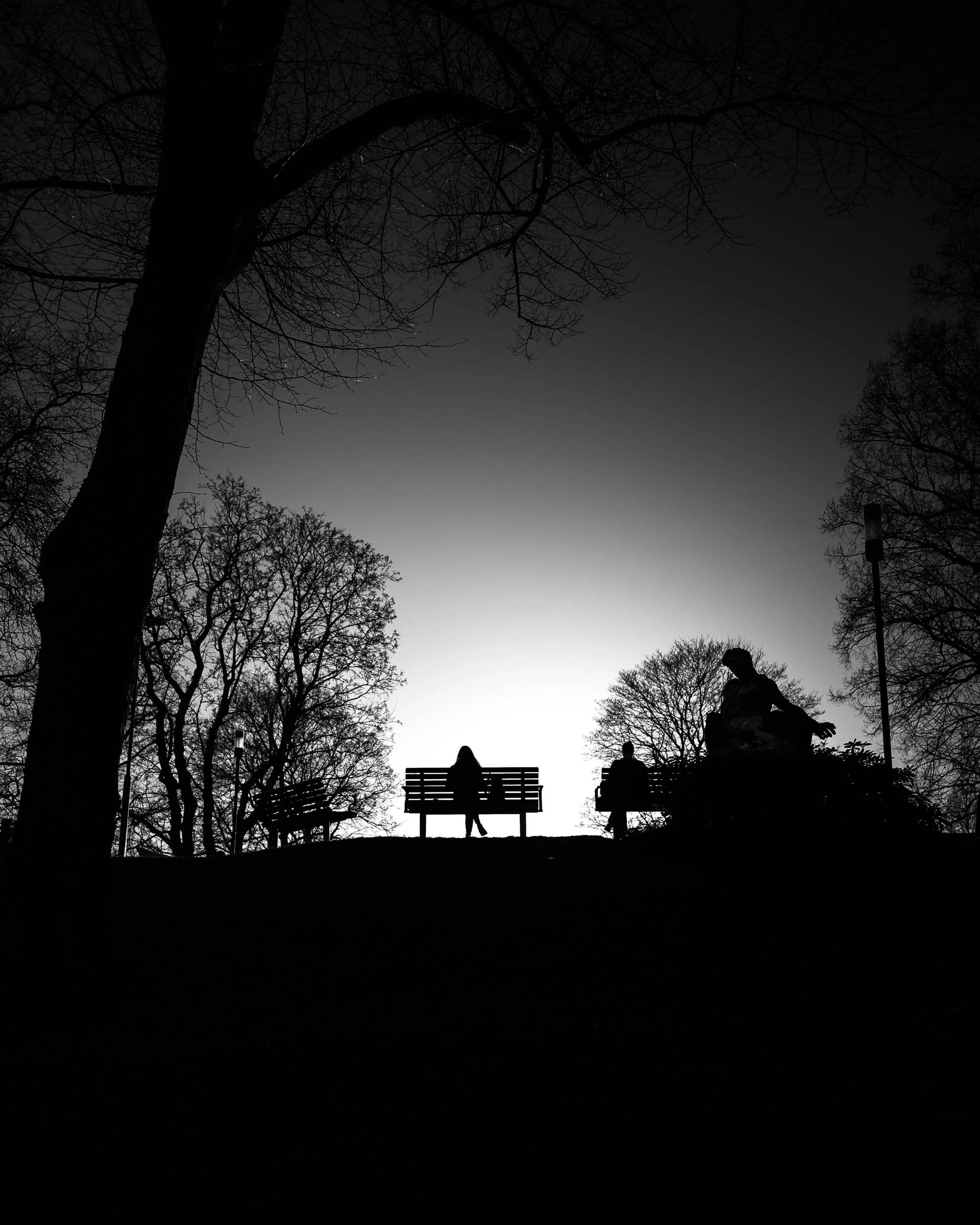_DSC0395.jpeg