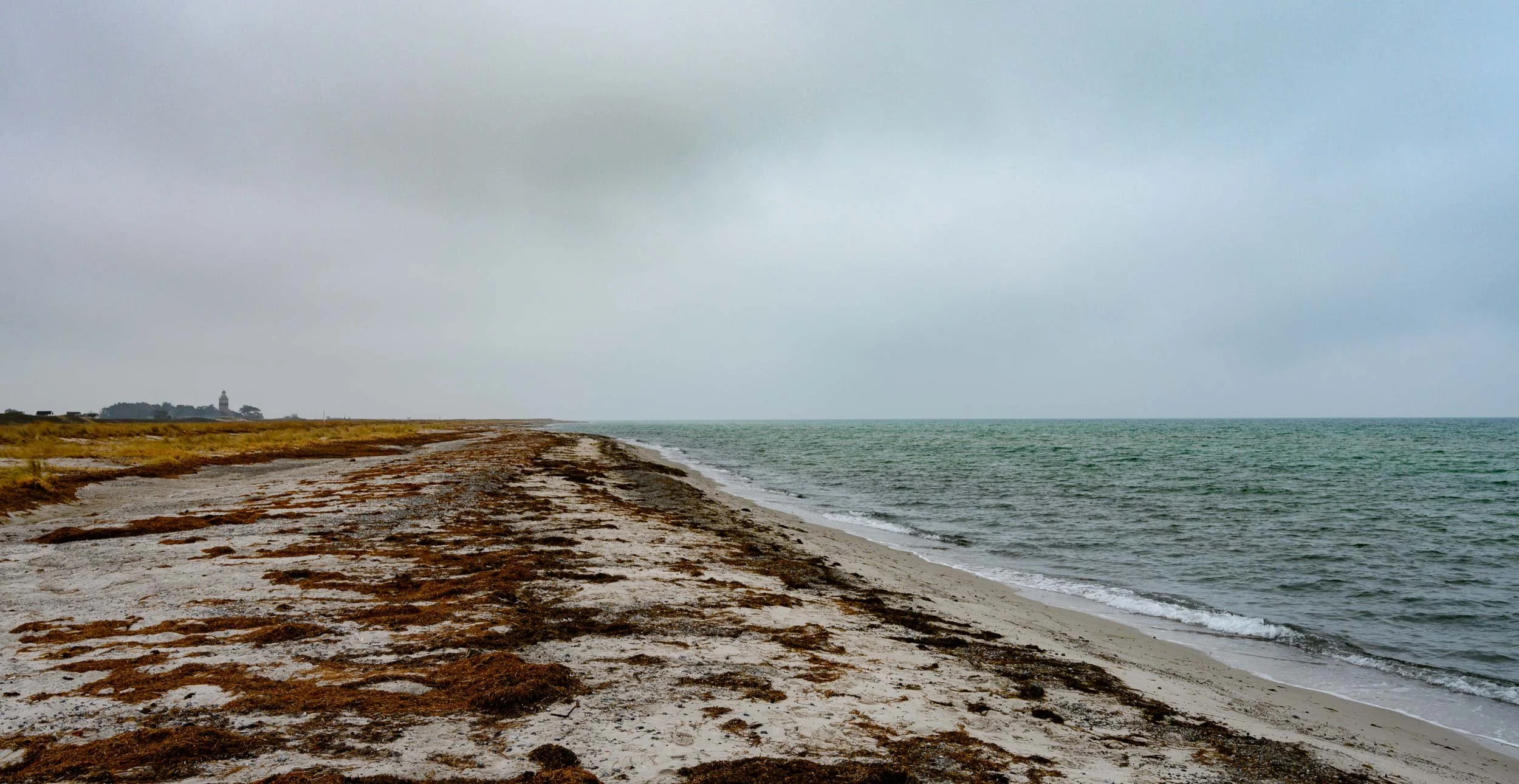 _DSC2871-R.jpeg