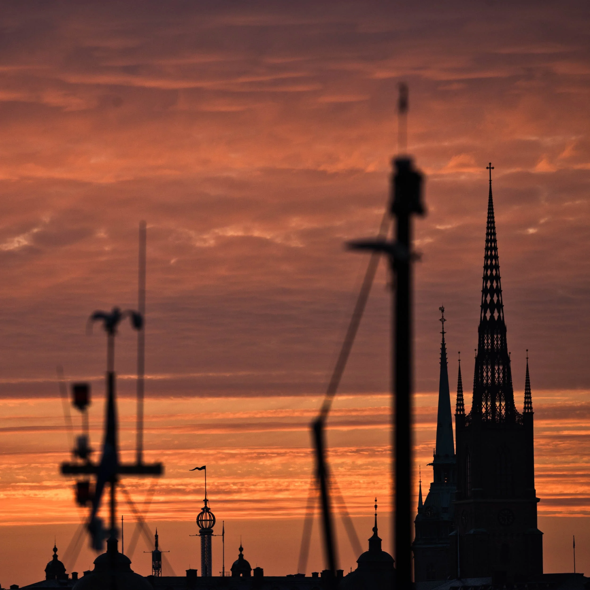 _DSC1519-R.jpg