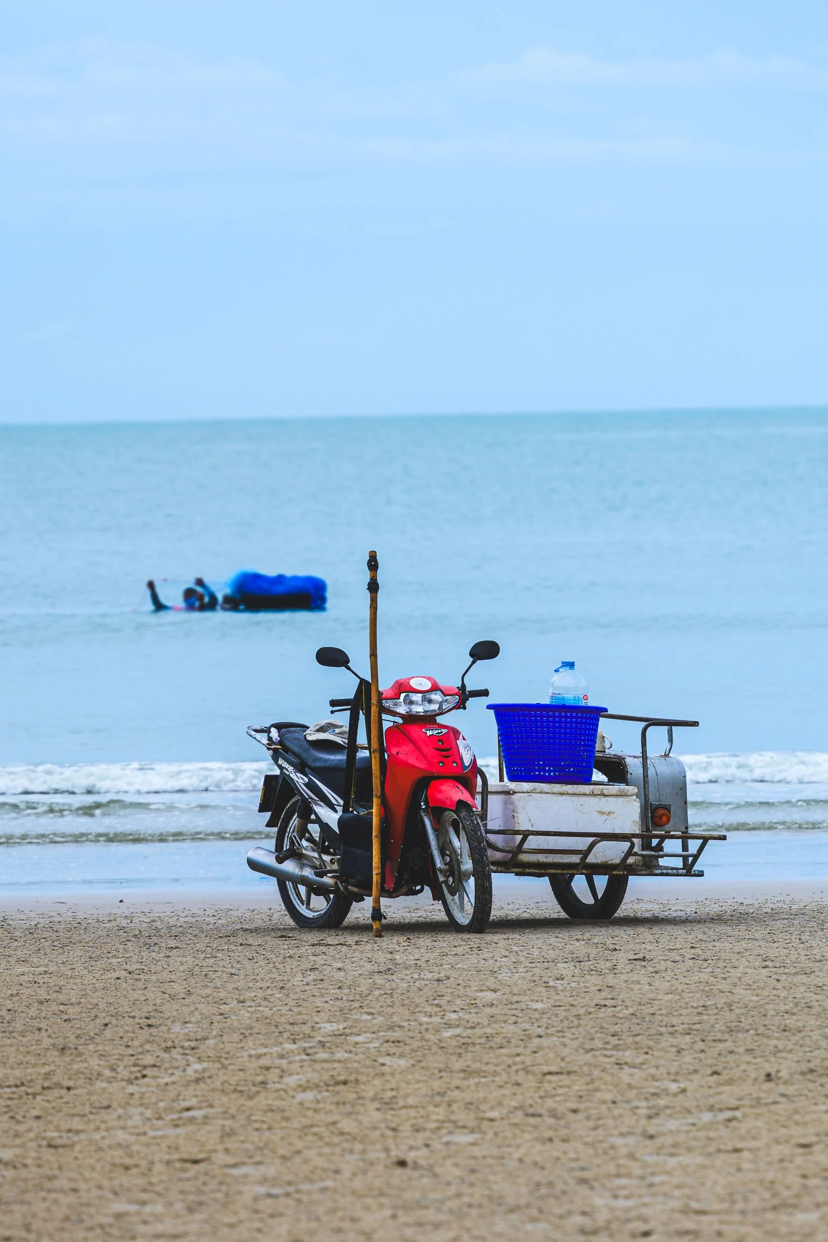 _DSC3919.jpeg