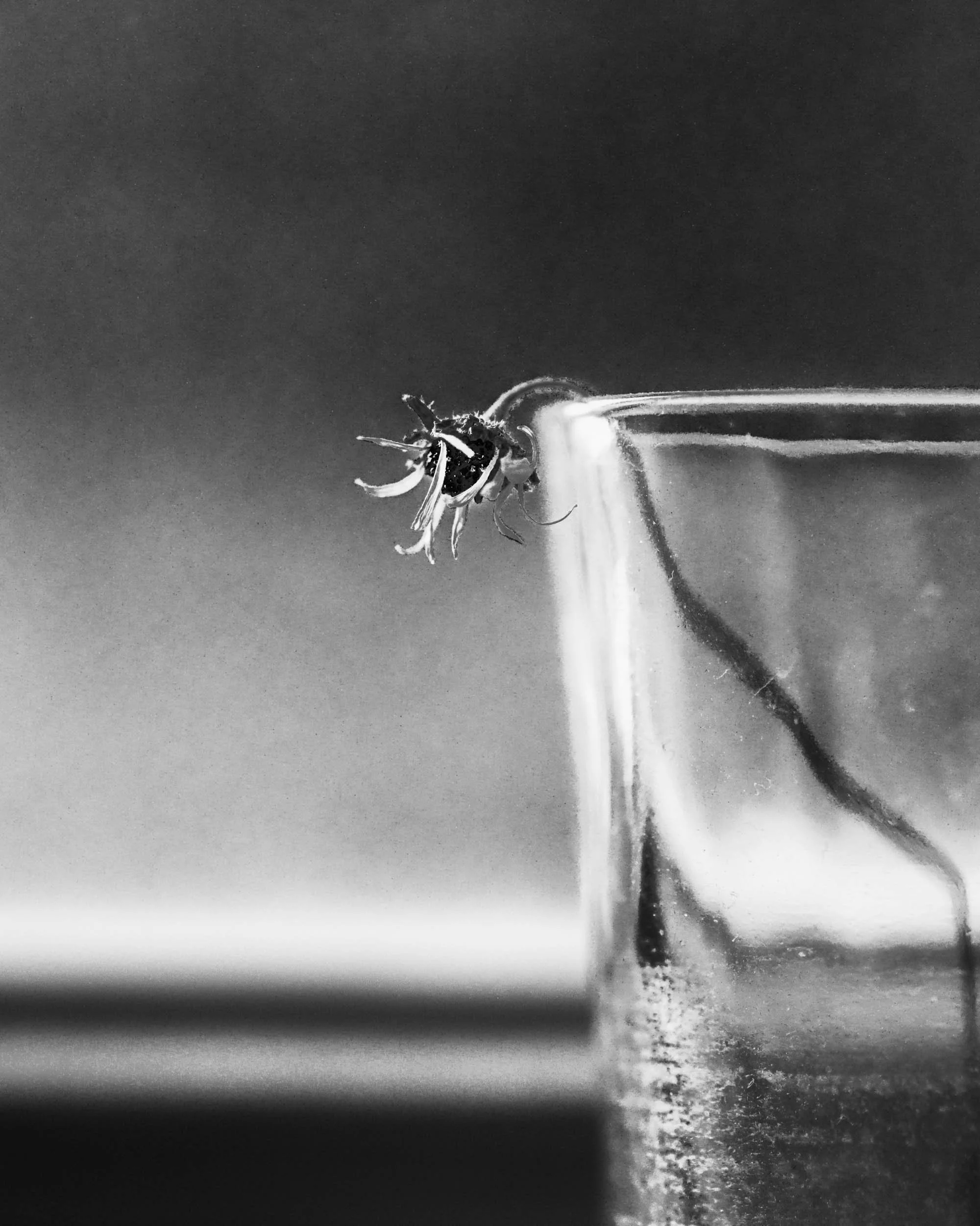 Studiosession test-113-R-Redigera.jpeg