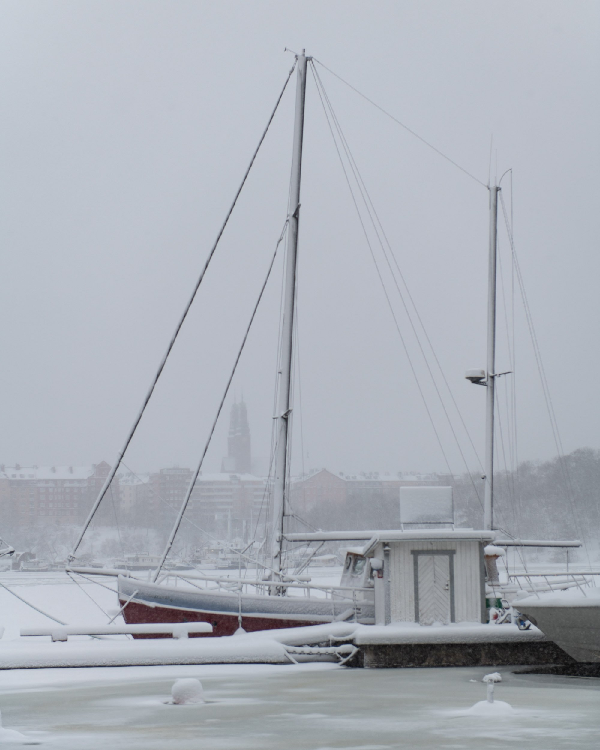 _DSC9591.jpg