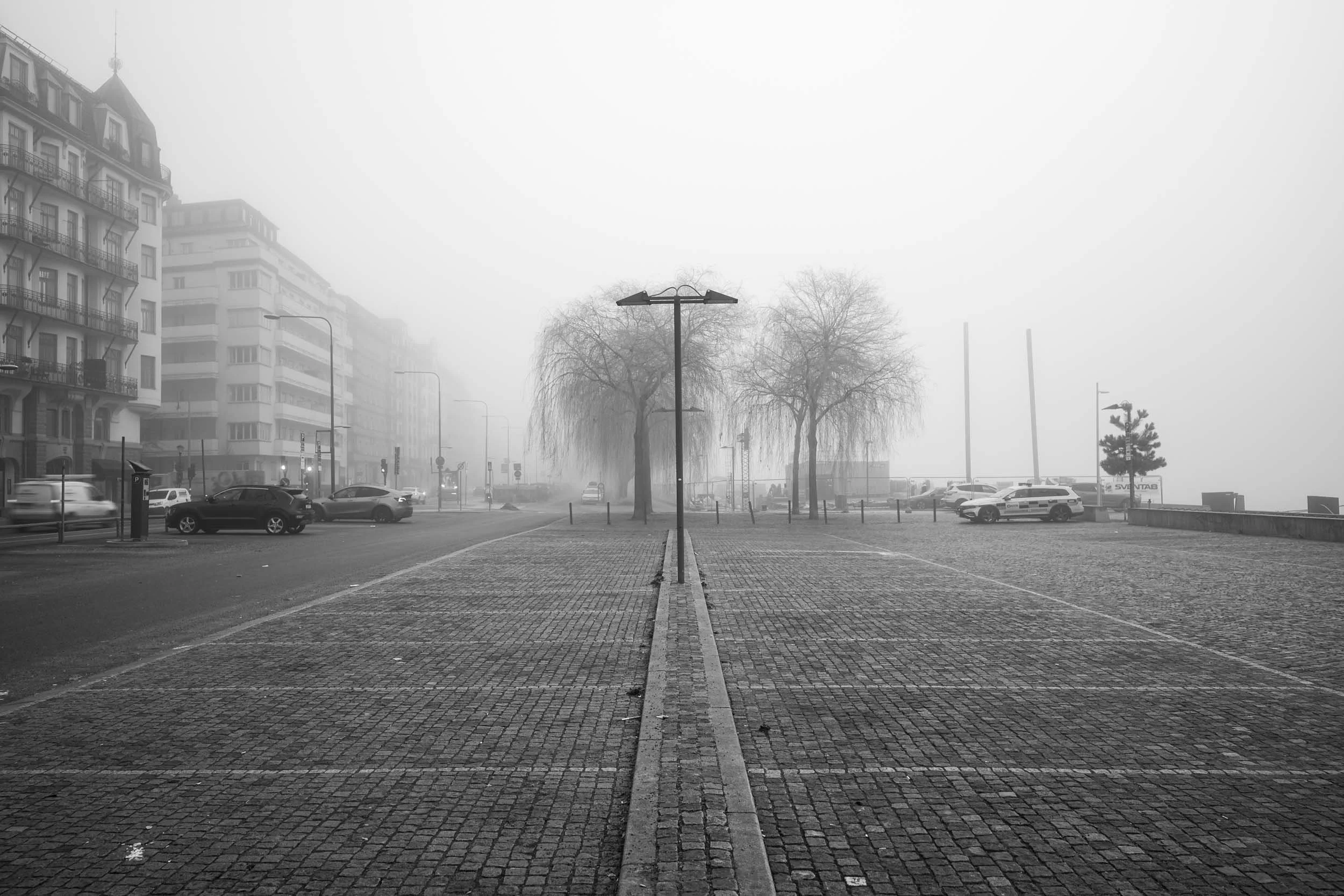 _DSC0130.jpeg