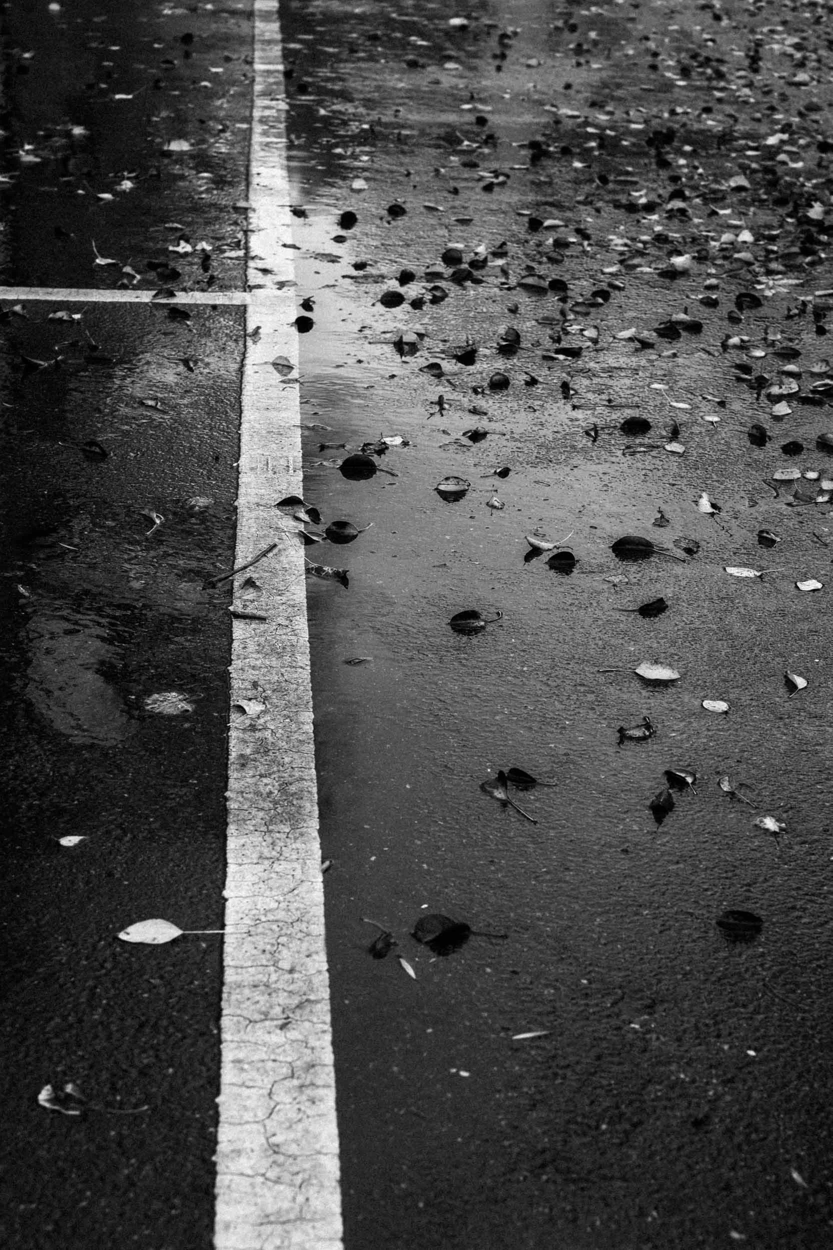_DSC1626.jpeg