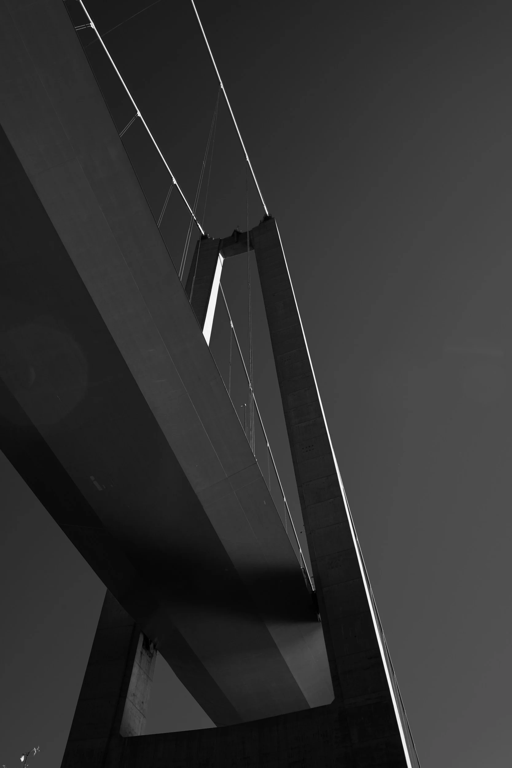 _DSC0134.jpeg