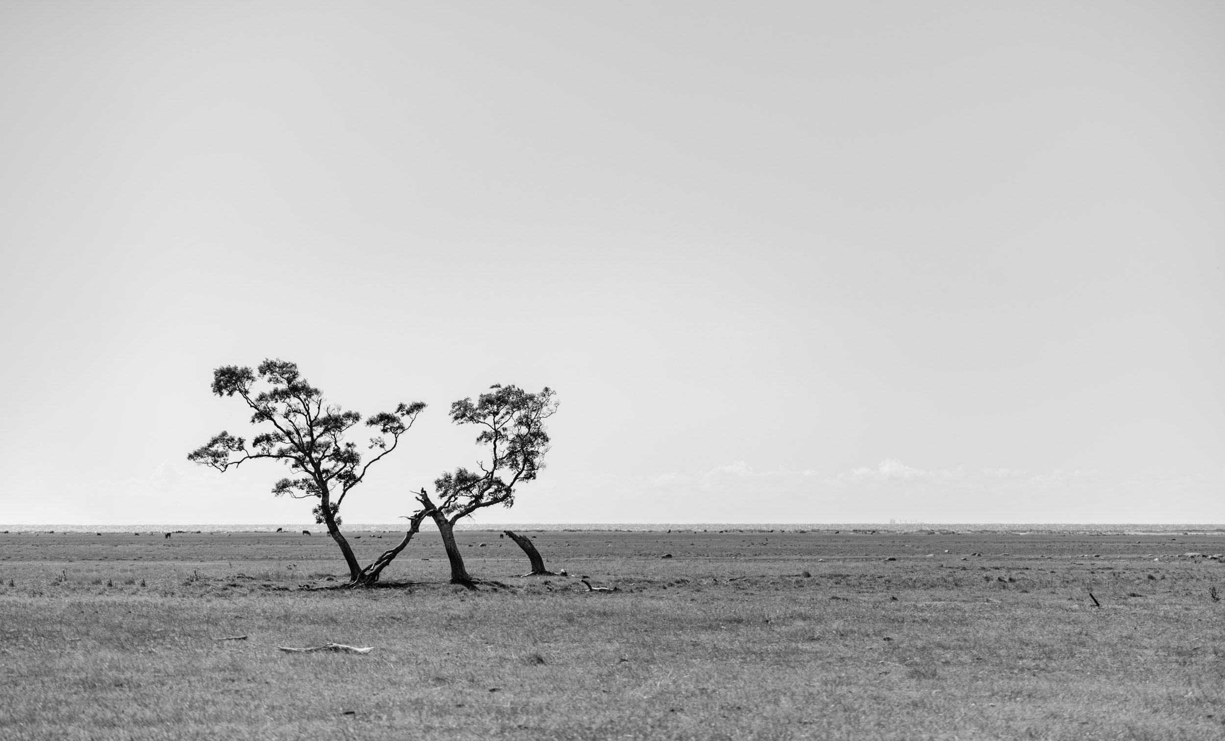 _DSC1151-Redigera-2-Redigera.jpeg