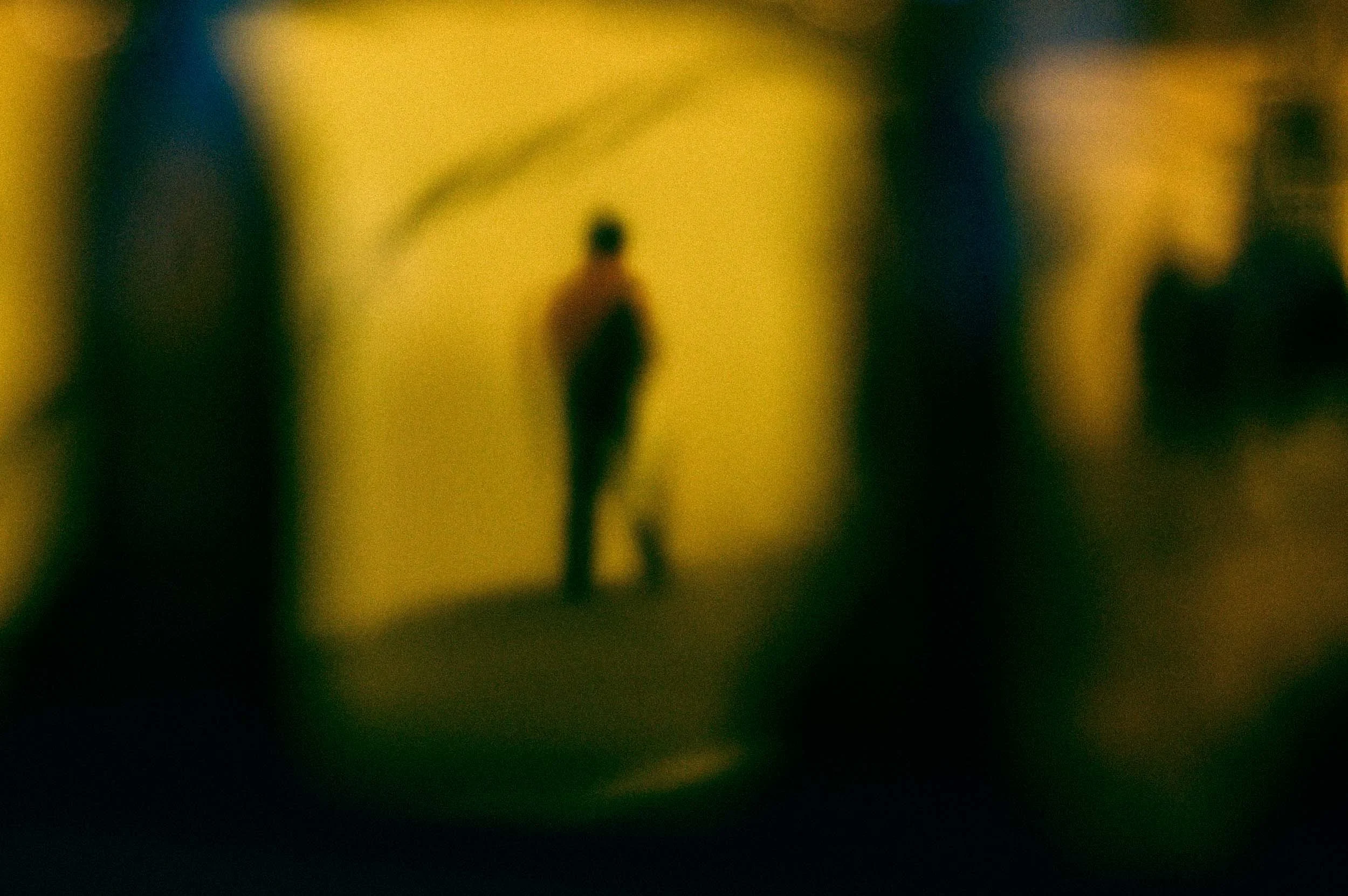 _DSC0650.jpeg