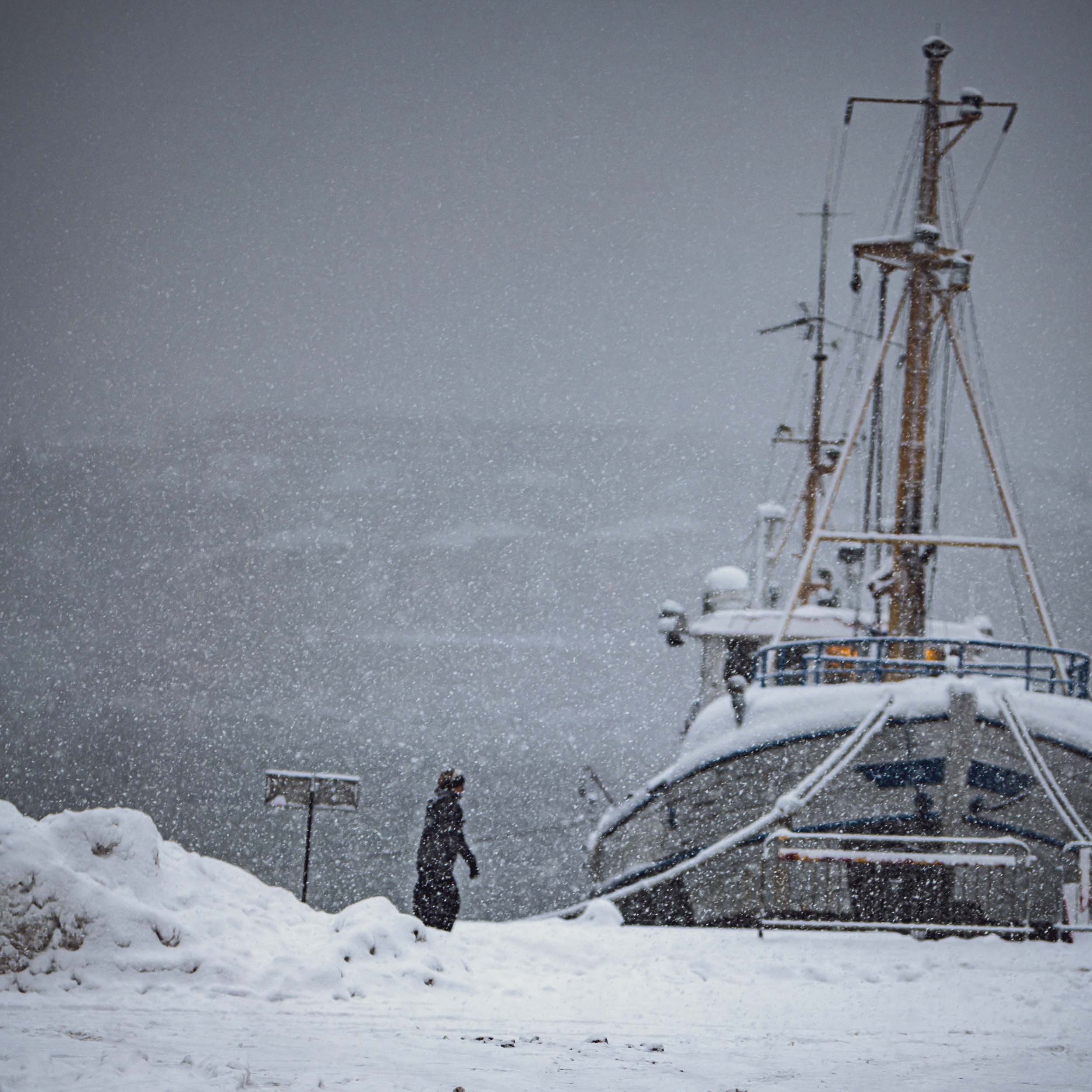 _DSC1662-2.jpeg