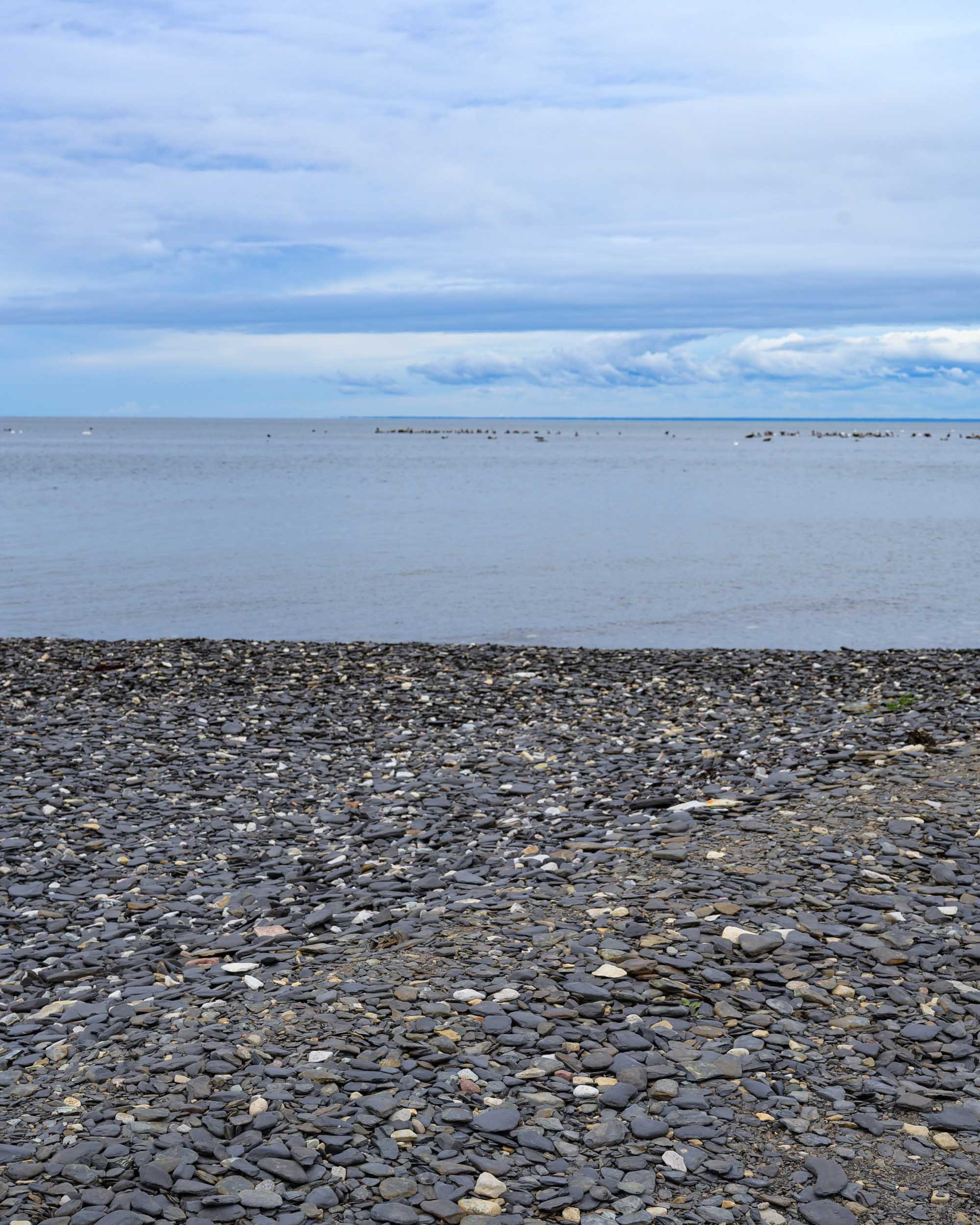 _DSC2990.jpeg