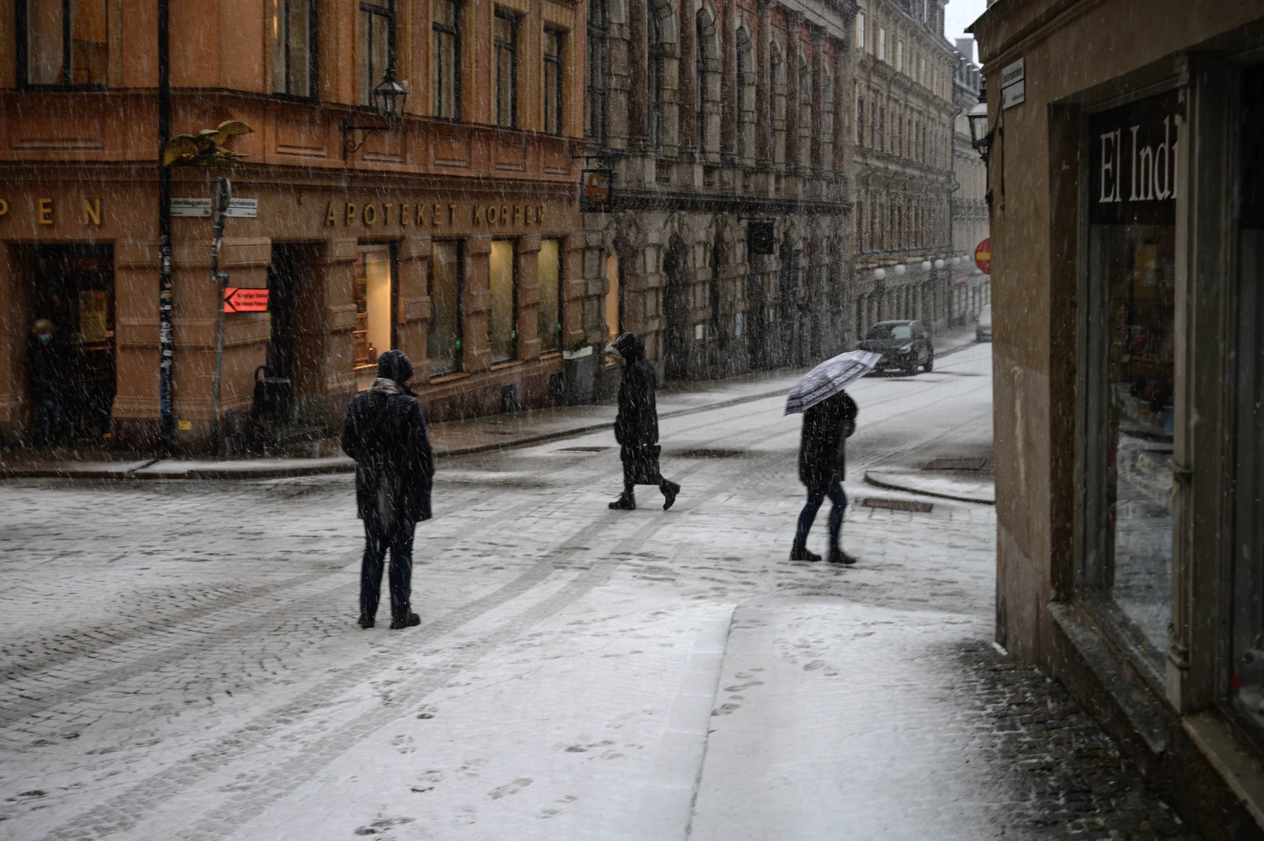 _DSC8260.jpeg