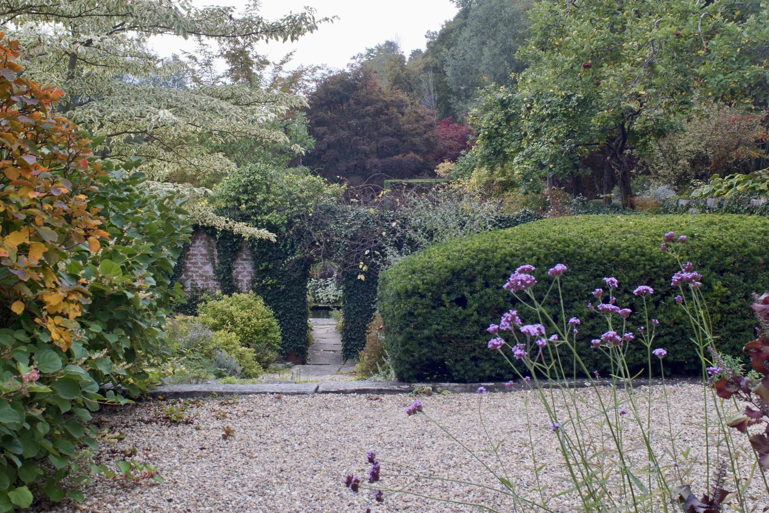 DSC07542.JPG