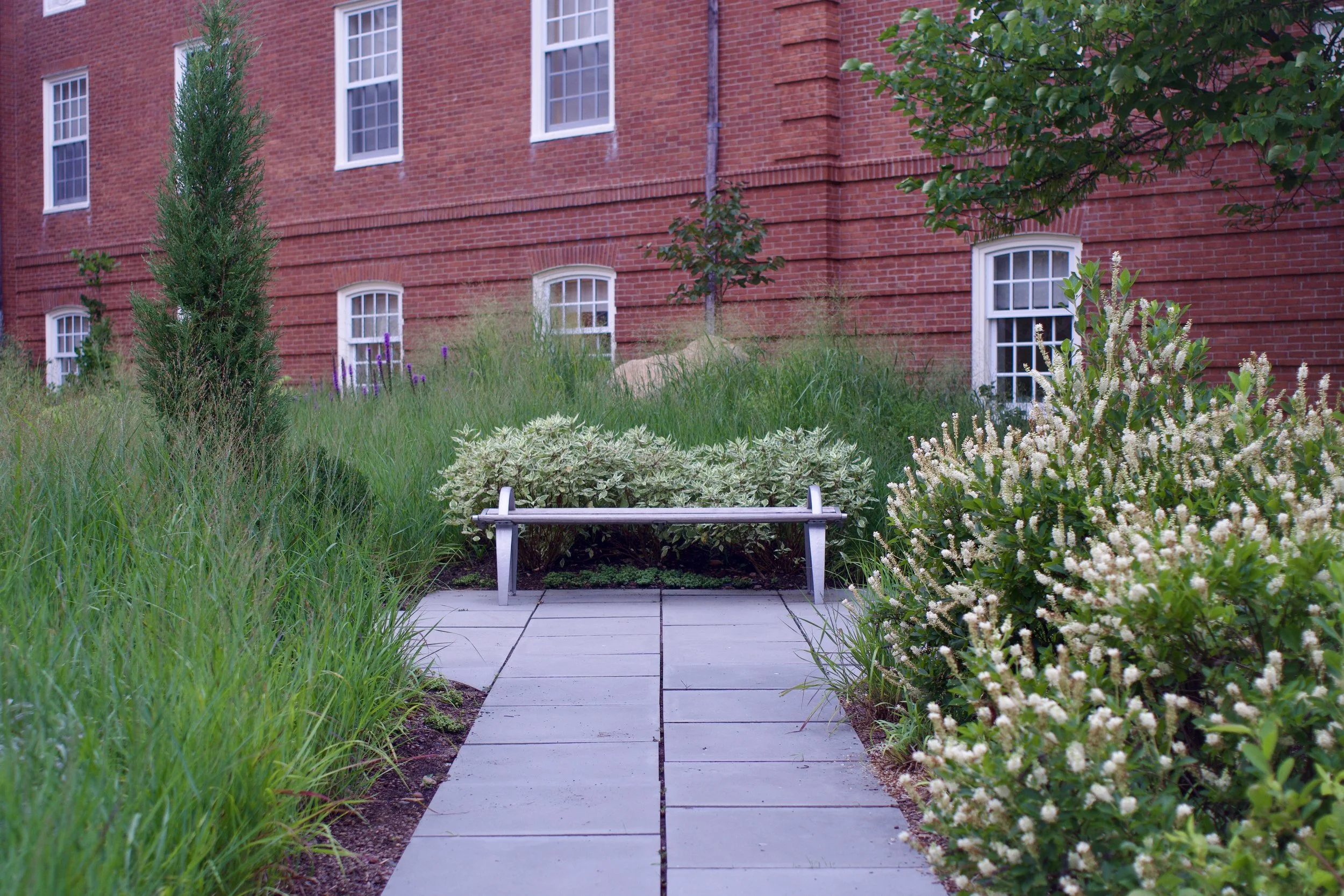 DSC06407.JPG