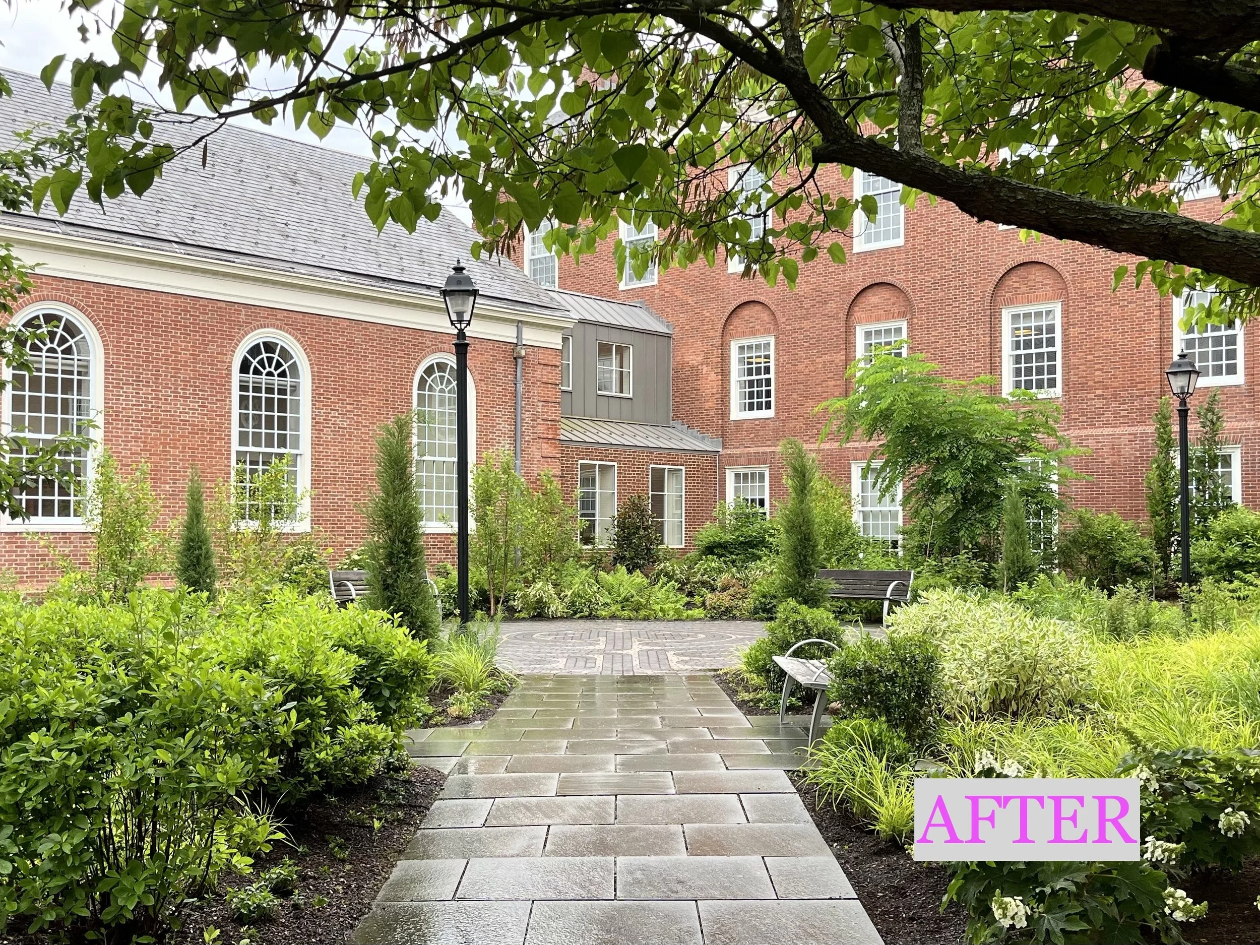 Boulevard AFTER.jpeg