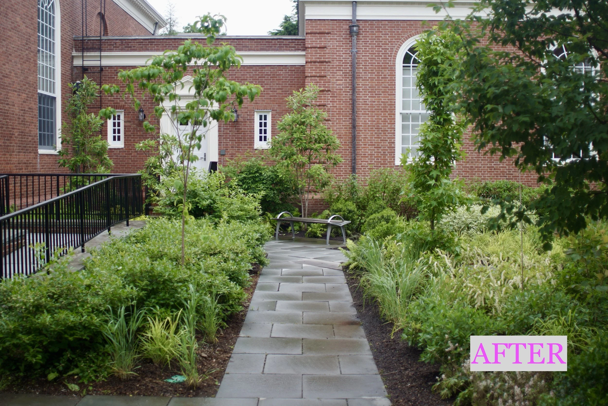 Magnolia AFTER.JPG