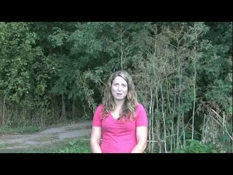 High Country Carvings - Customer Testimonial (Copy)