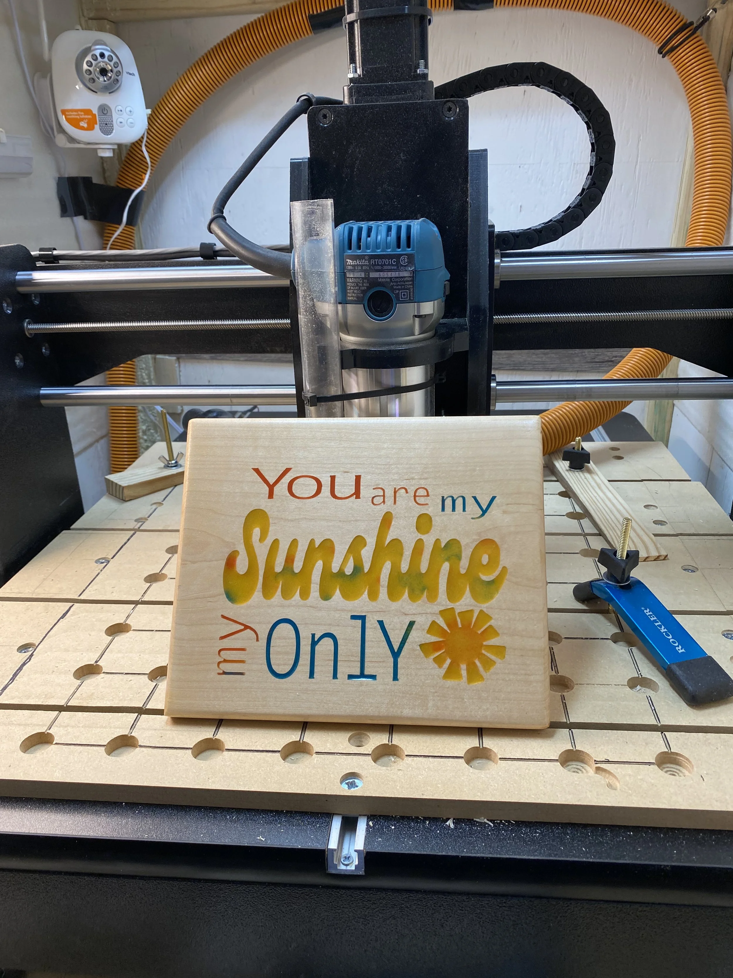 Jennifer Flynn DWC1824 (3).jpeg