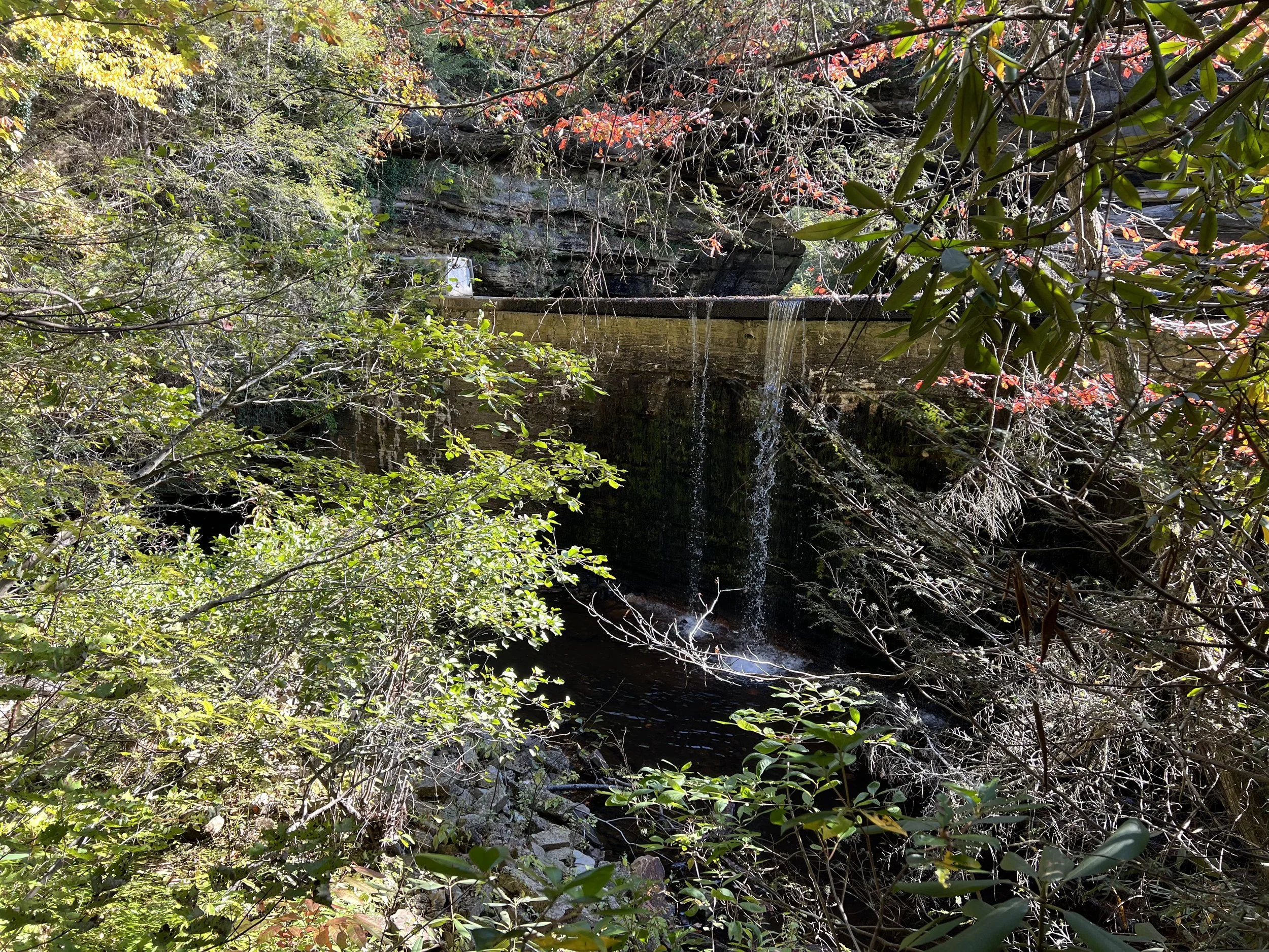 Fall