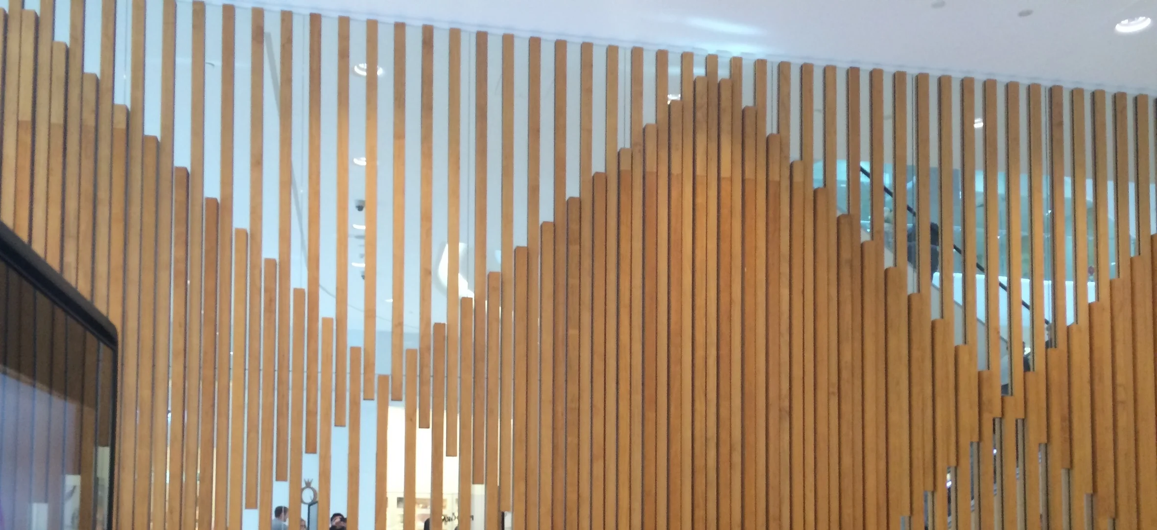 Architecture Feature Wall_11Jul15.JPG