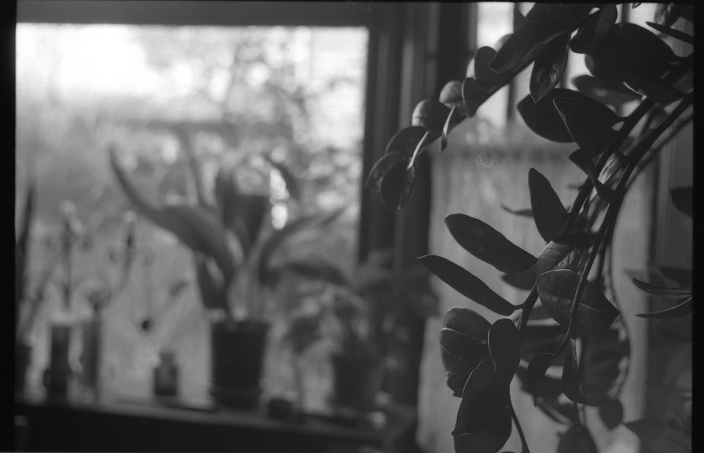 Misha_bnw048.jpg
