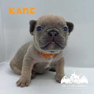 Kane-3-Weeks.jpg