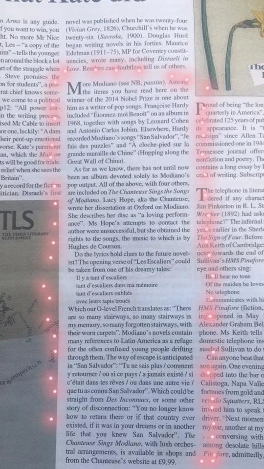 times literary supplement modiano the chanteuse