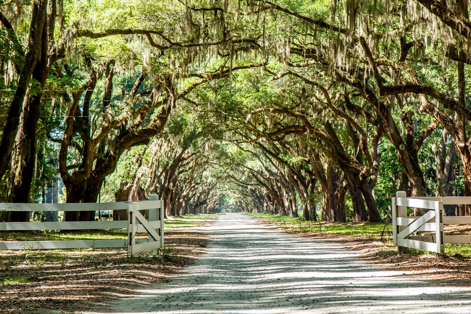 Wormsloe State Historic Site, Savannah, GA
