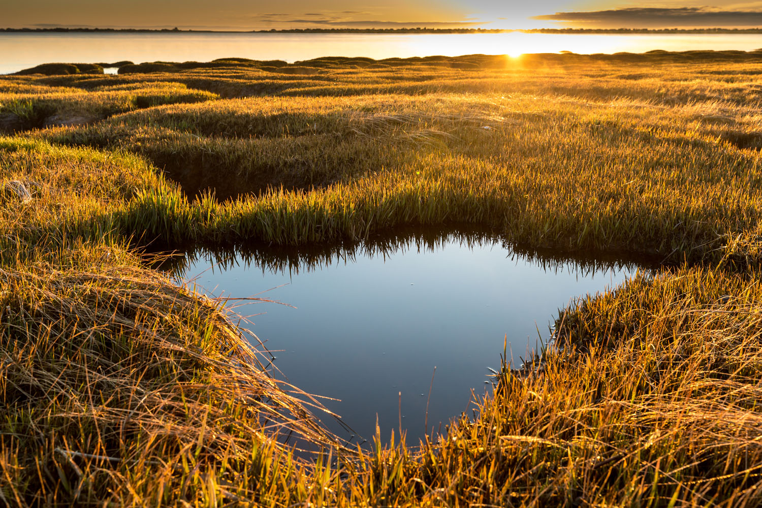 Joppa Flats, Newburyport, MA