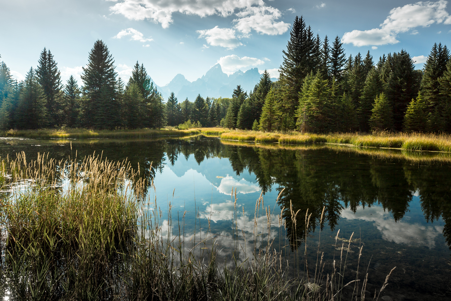 Schwabacher's Landing, Moose, WY