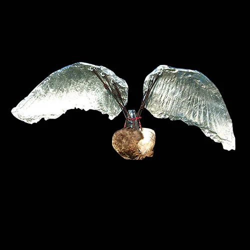 Soaring