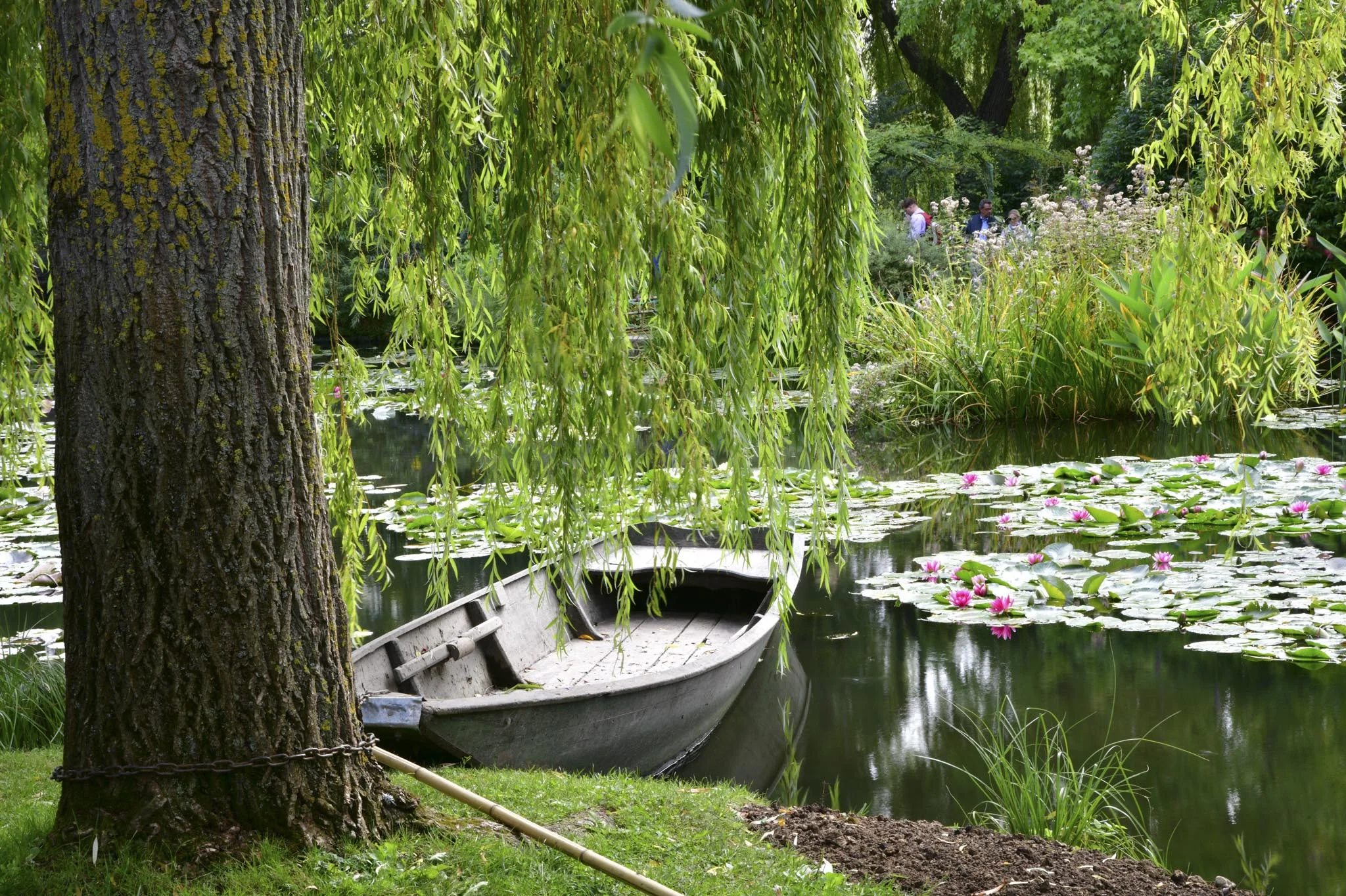 Serenity at Giverny.jpg