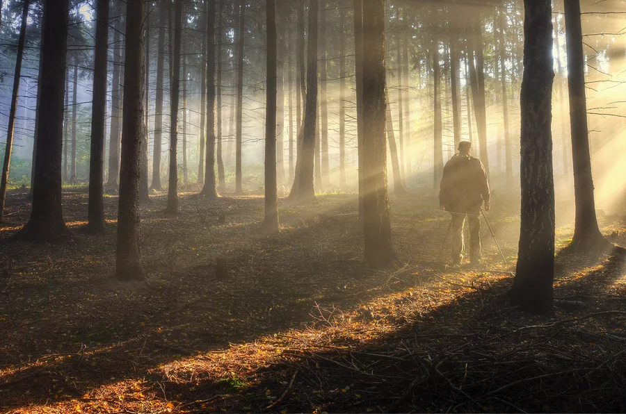 Where in your life’s wandering in life do you find yourself?