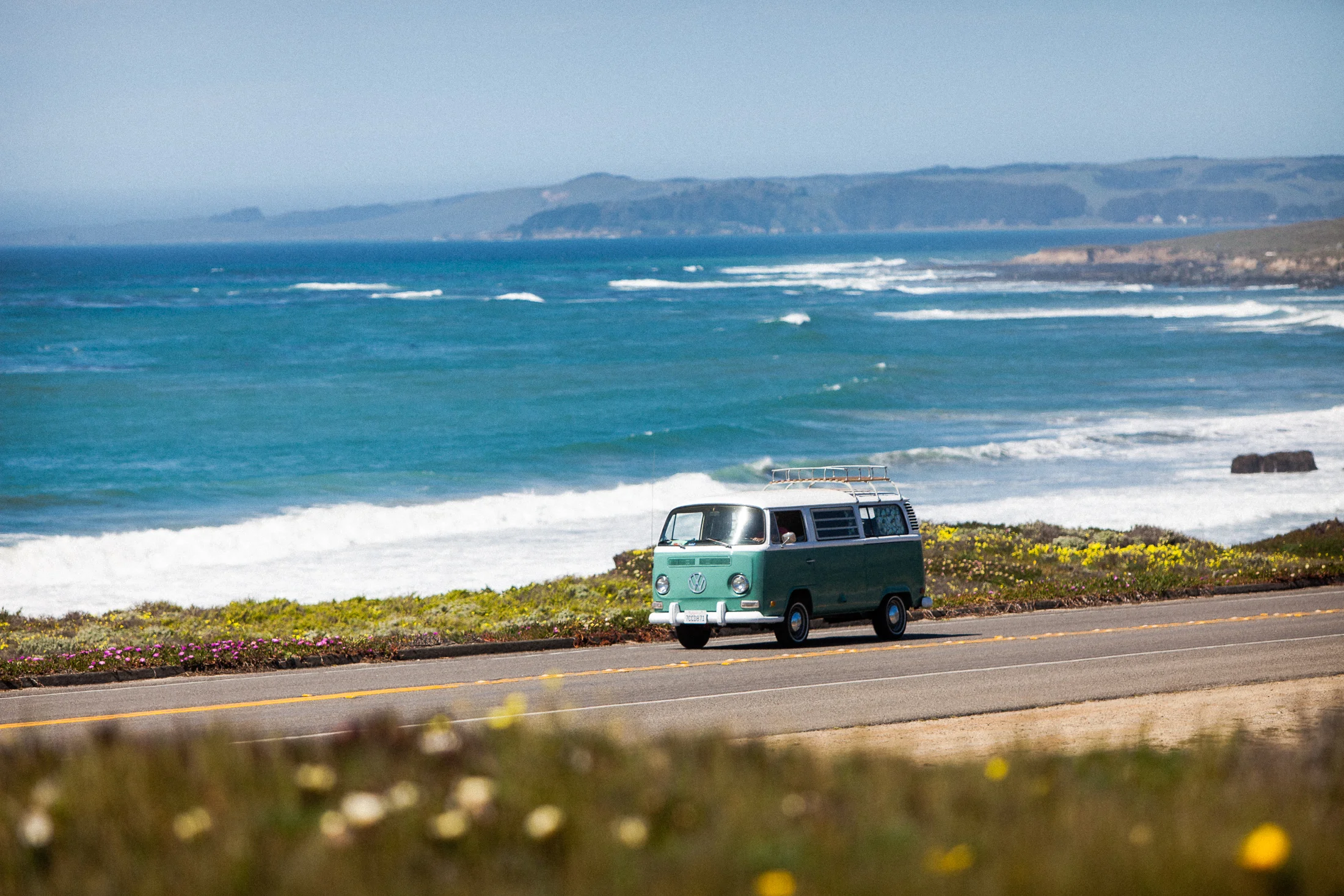 Seagull cruising up Highway 1.