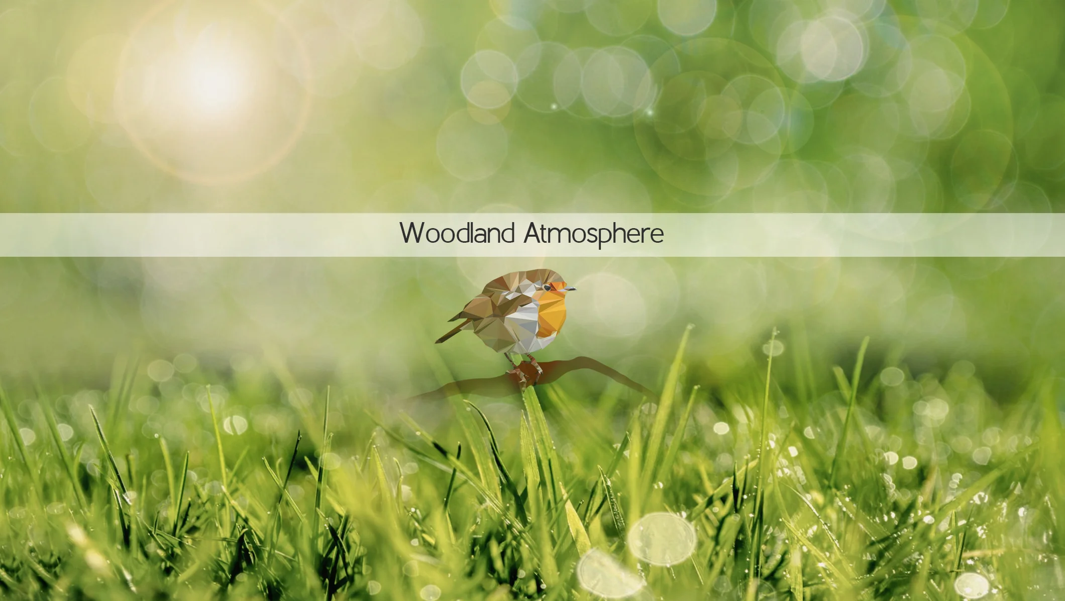 Woodland Atmosphere (Youtube Banner).jpg