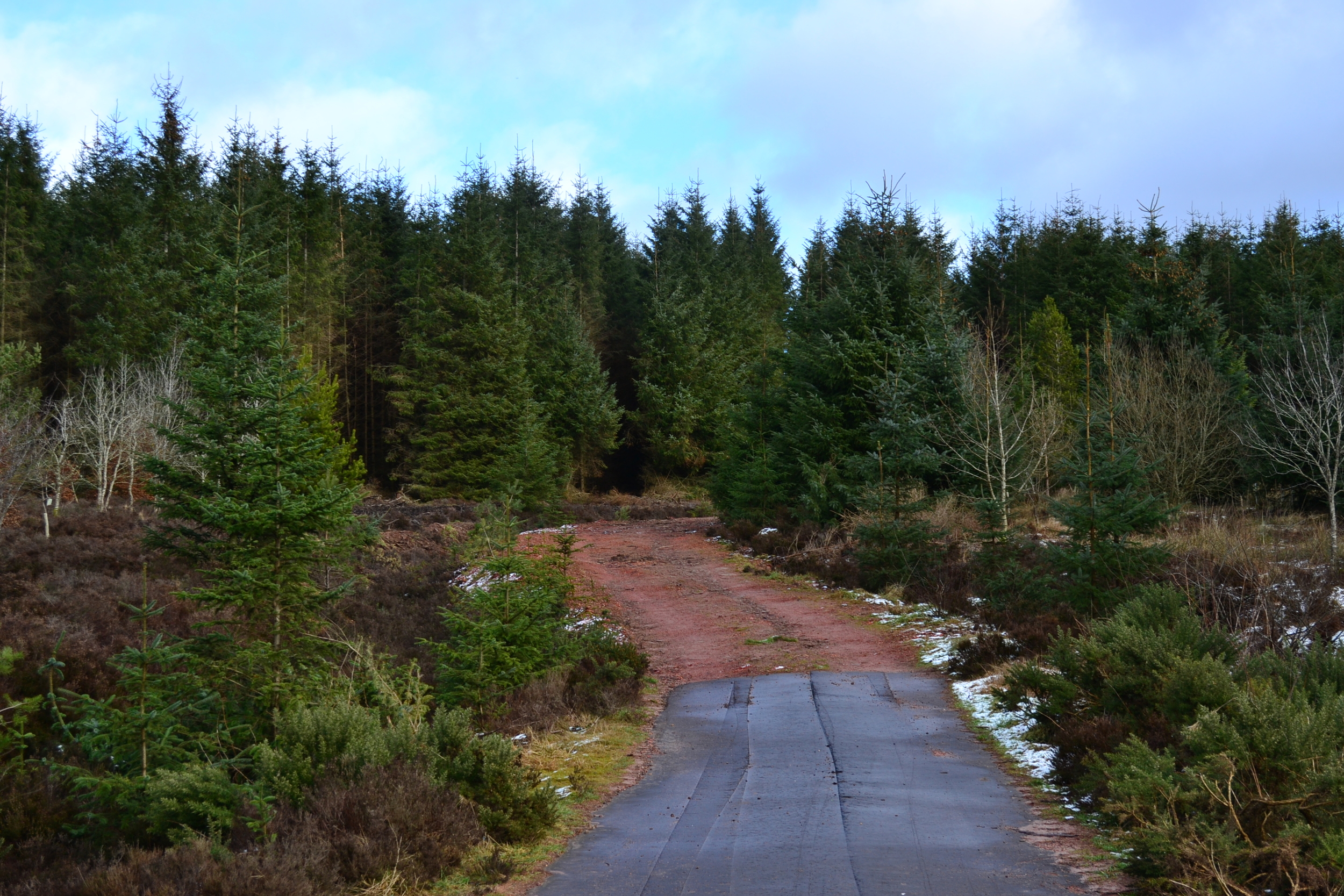 Dirt roads = less traffic