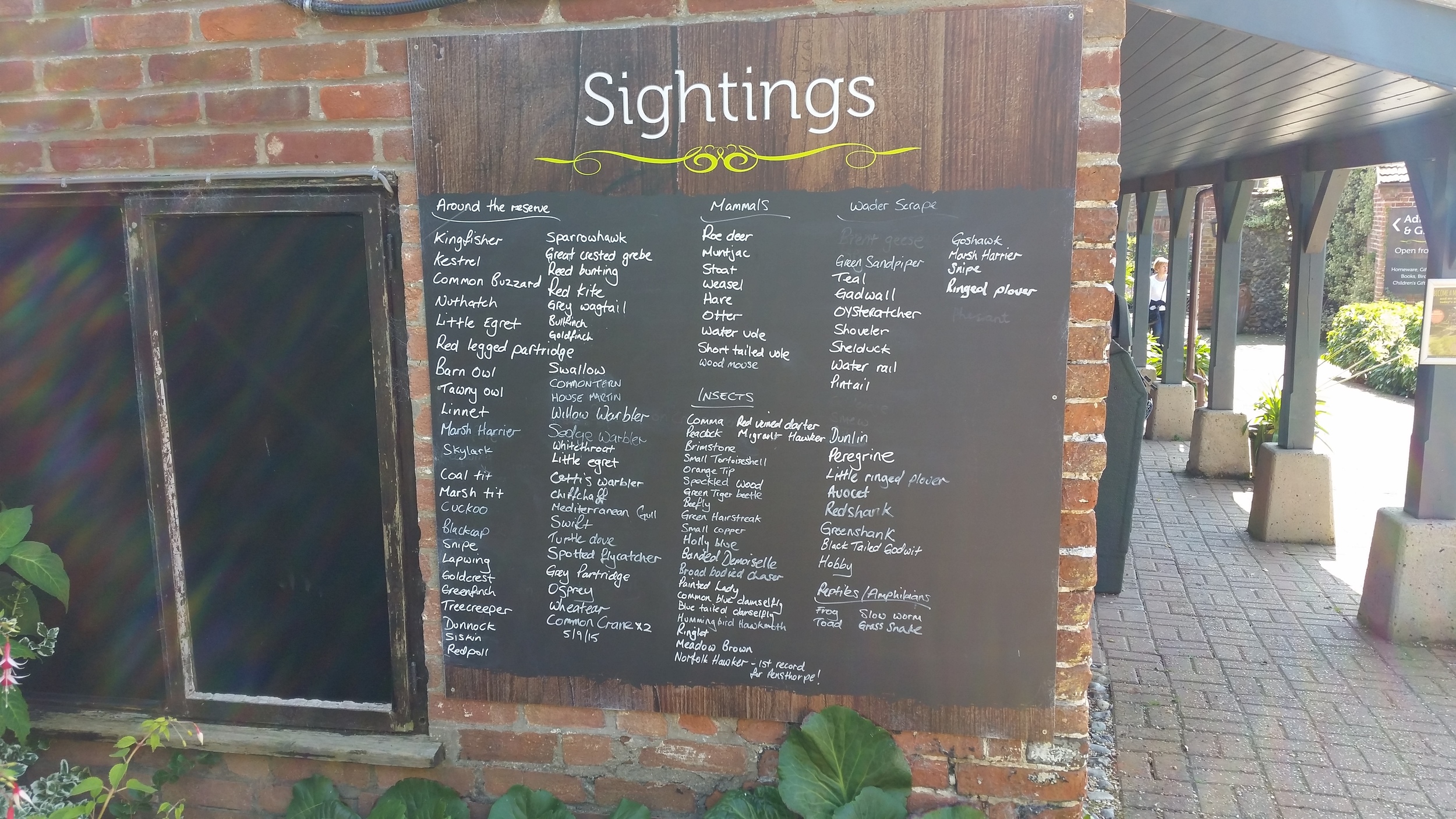 Always love seeing birdwatching records in areas I'm visiting