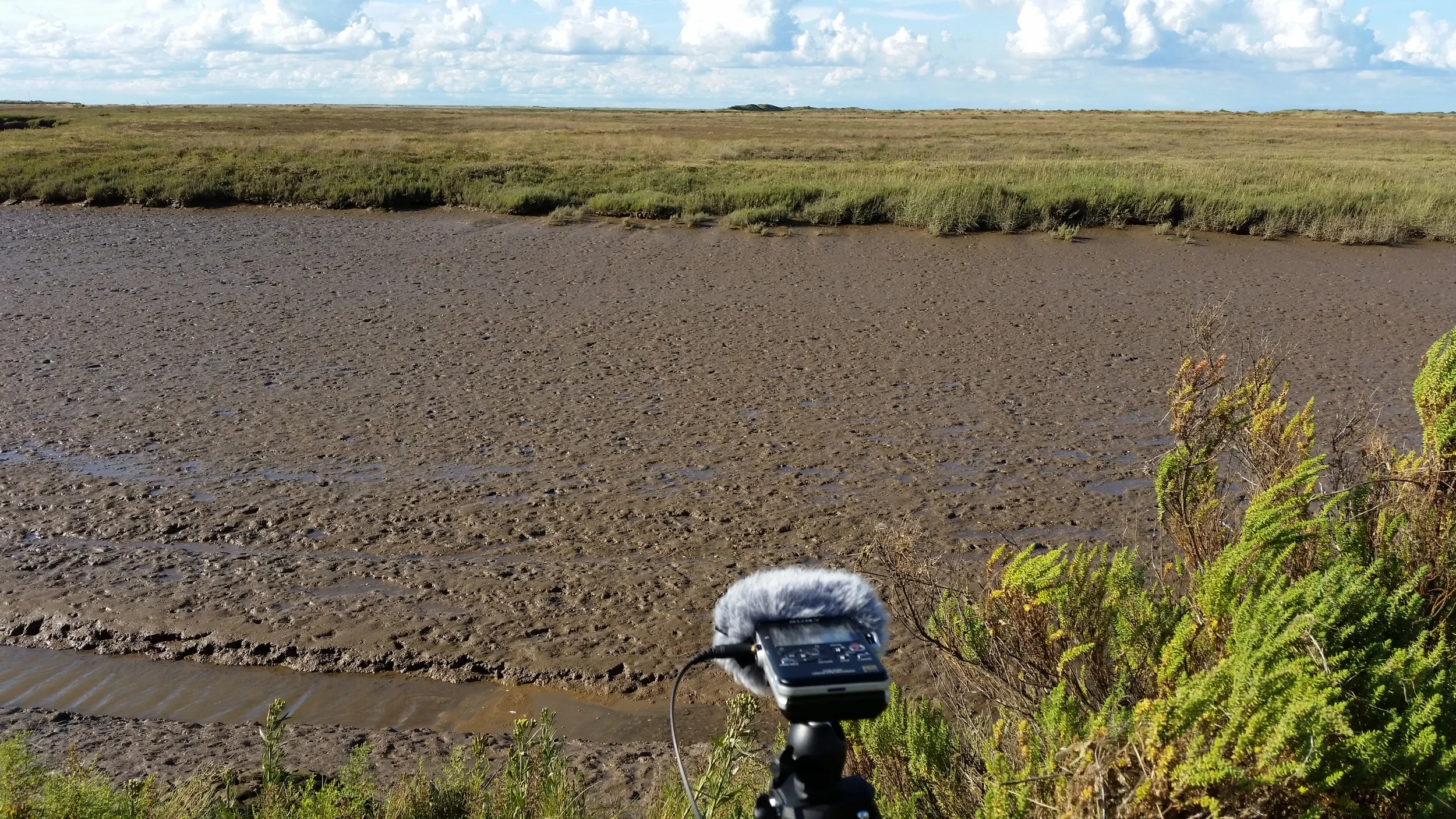 Mmmm mud! I bet it would make great squishy gloopy sounds. If only I had my chest waders with me.
