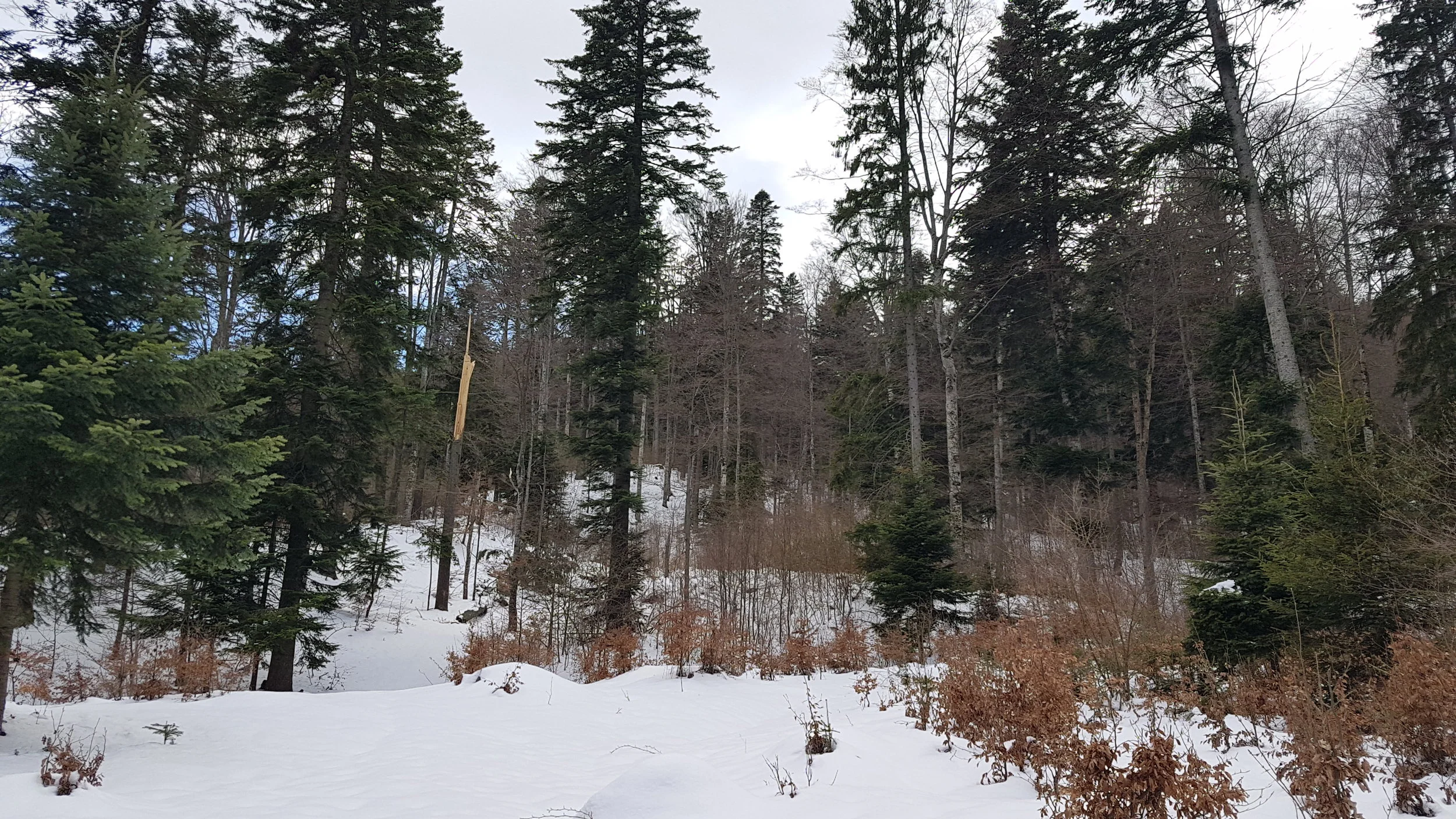 20170424_162338.jpg