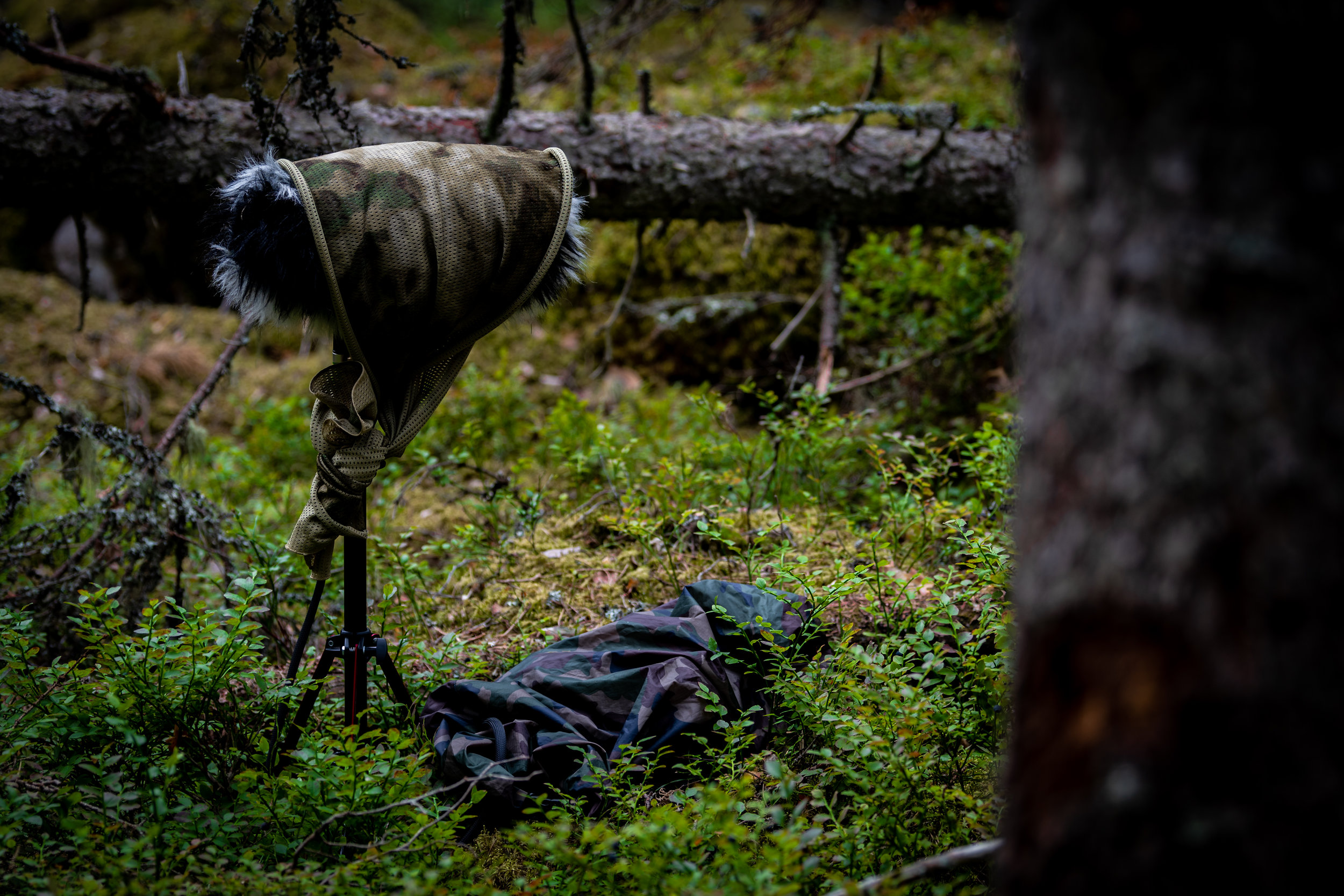 DSC_0518-1.jpg