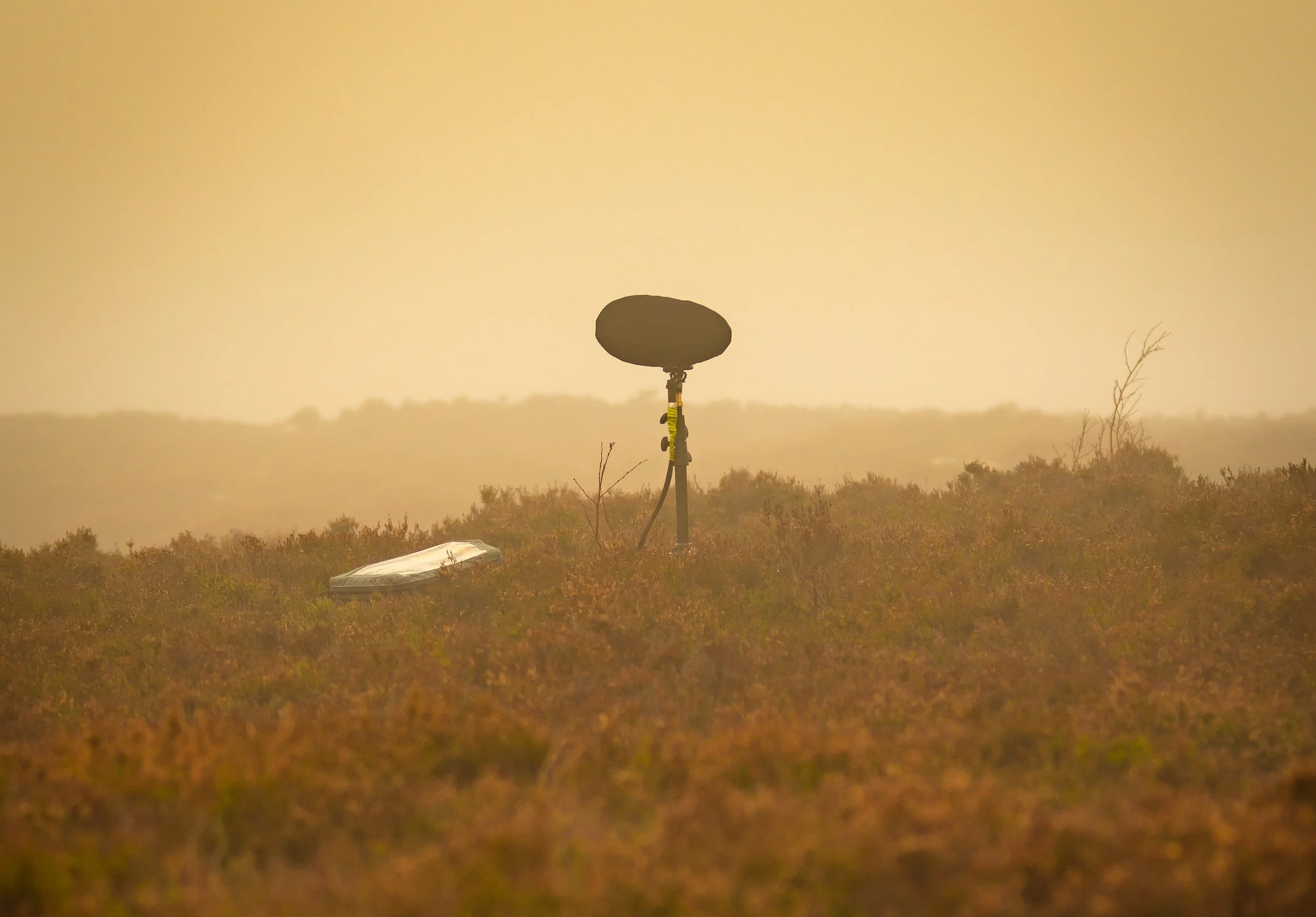 Natural Sound Interview Examples Interview about noise in nature recordings for Creative Field Recording ...