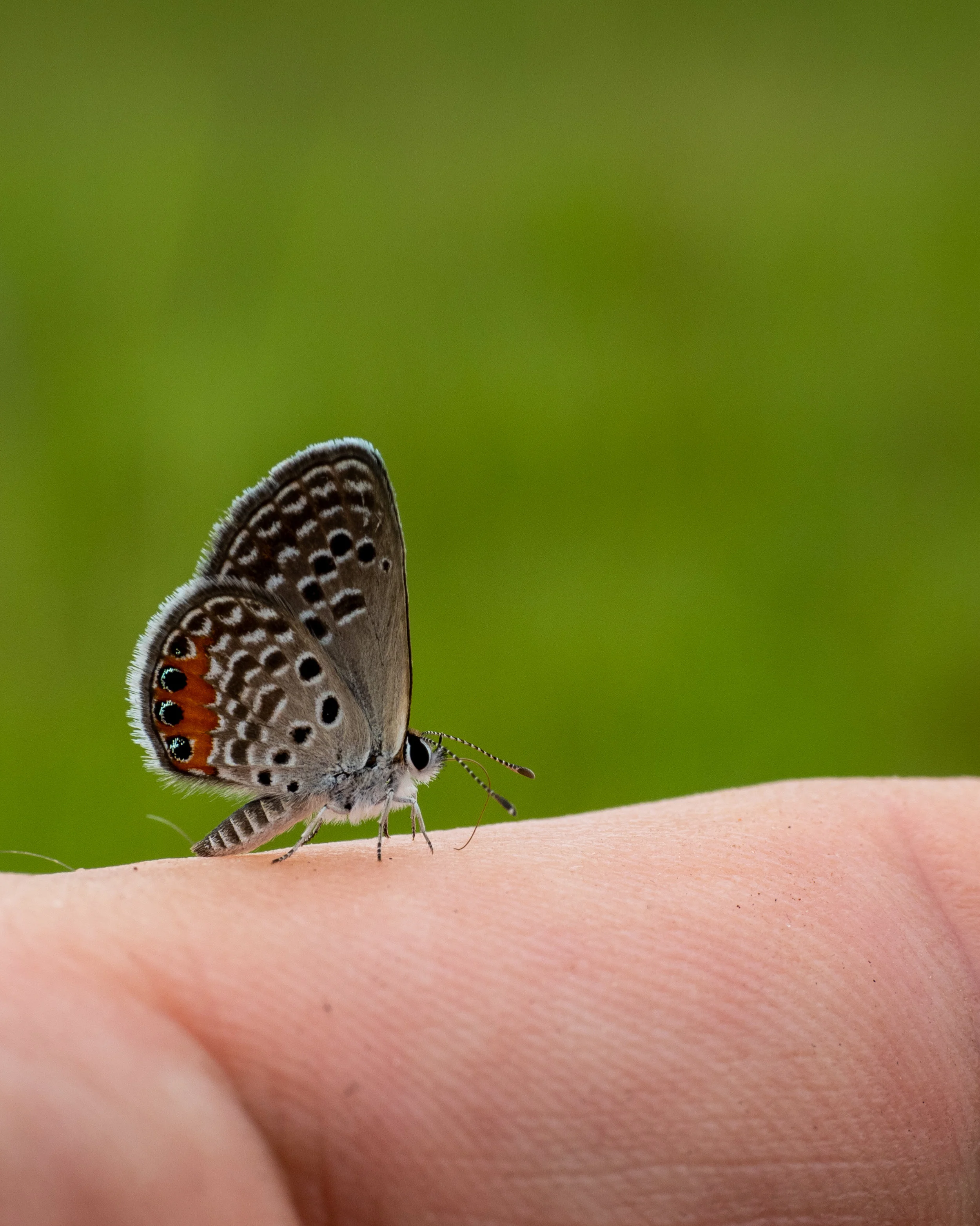 PB210050-1.jpg