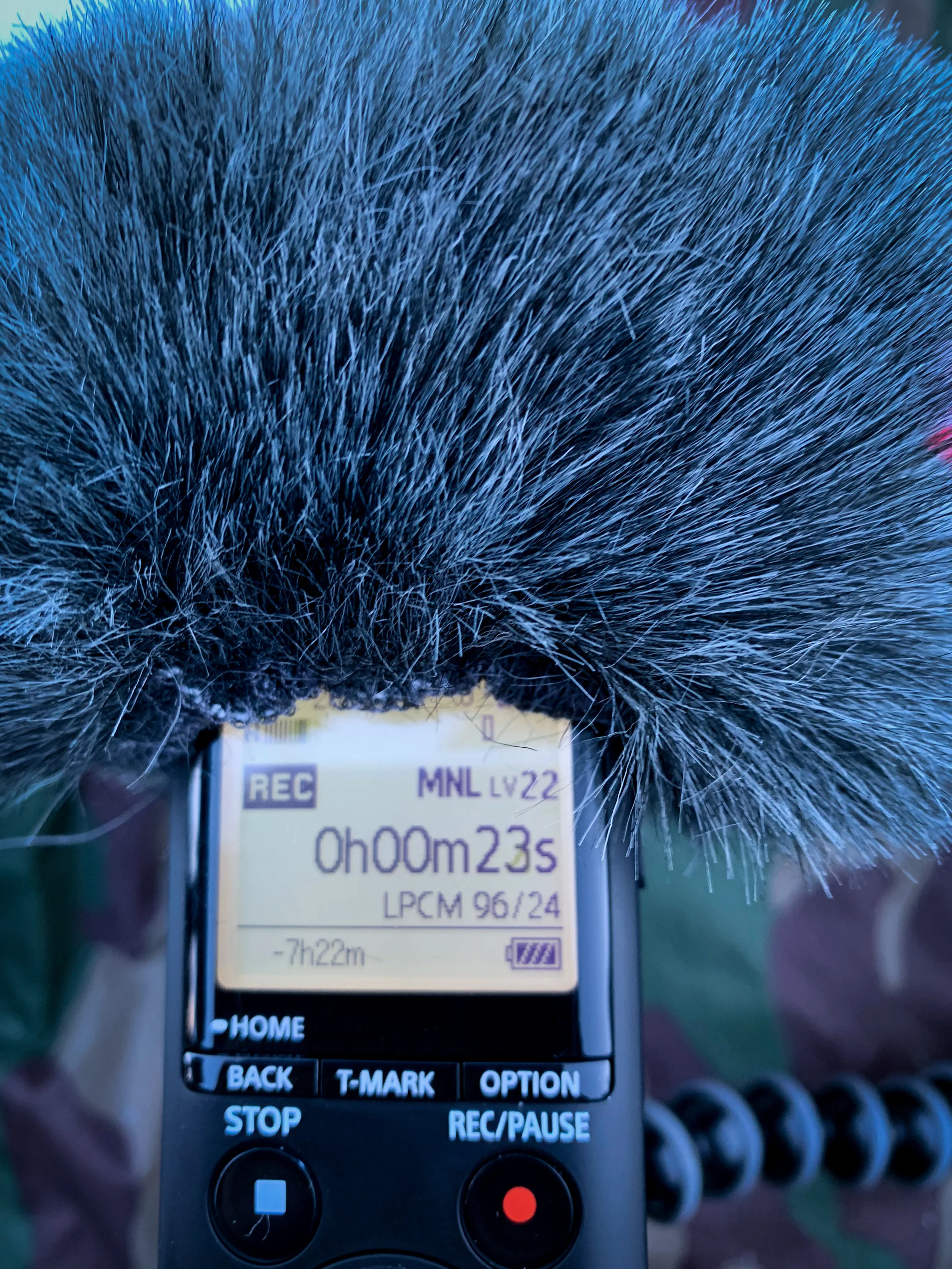 Sony PCM A10 in the field