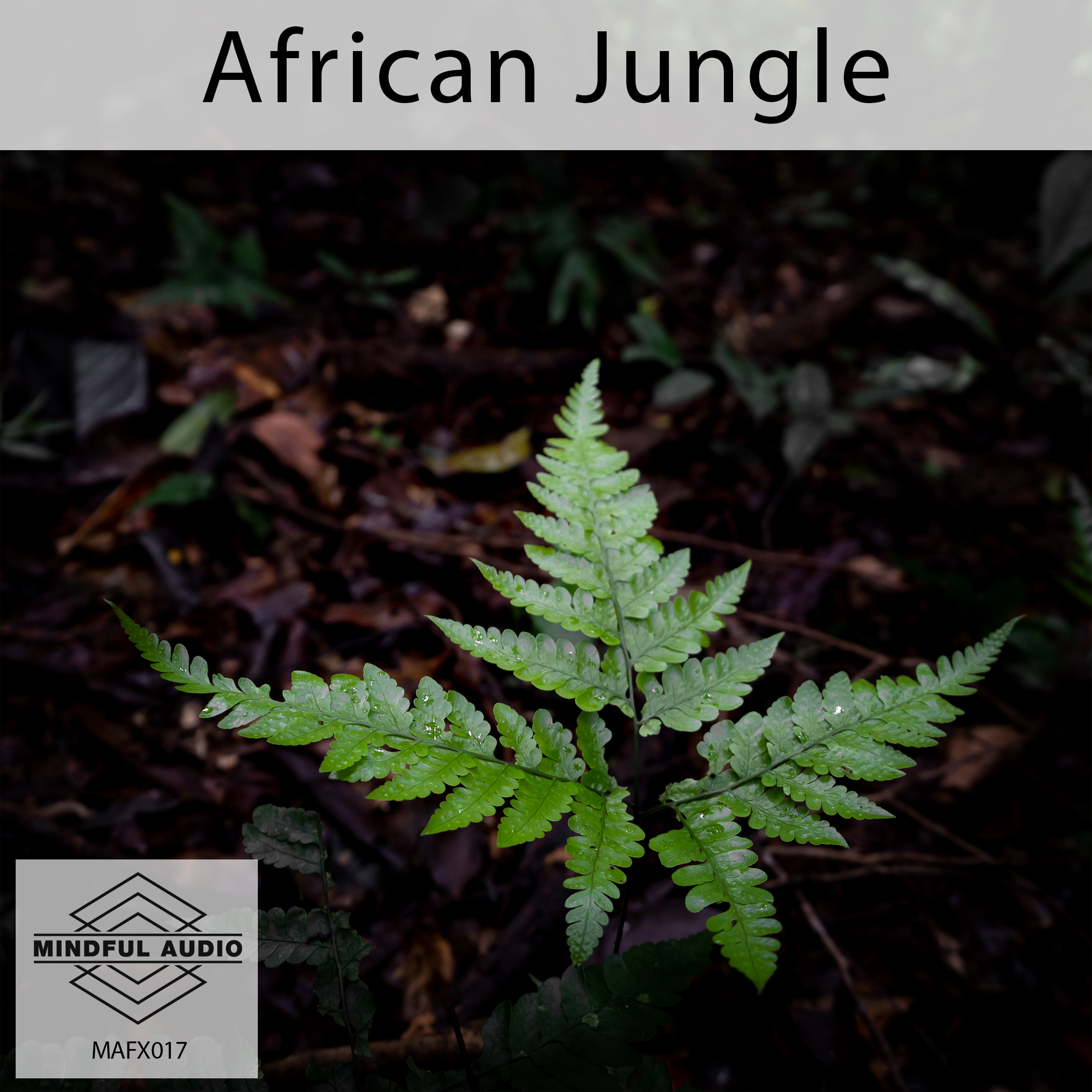 MAFX17 African Jungle cover.jpg