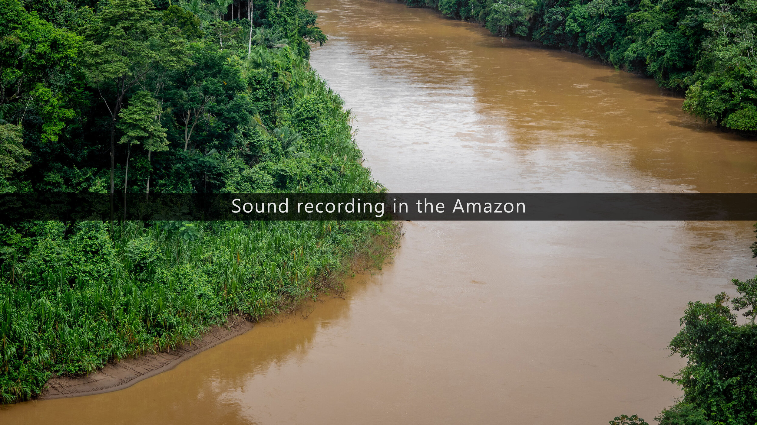 Sound Recording In The Amazon Rainforest Expedition Report Mindful Audio