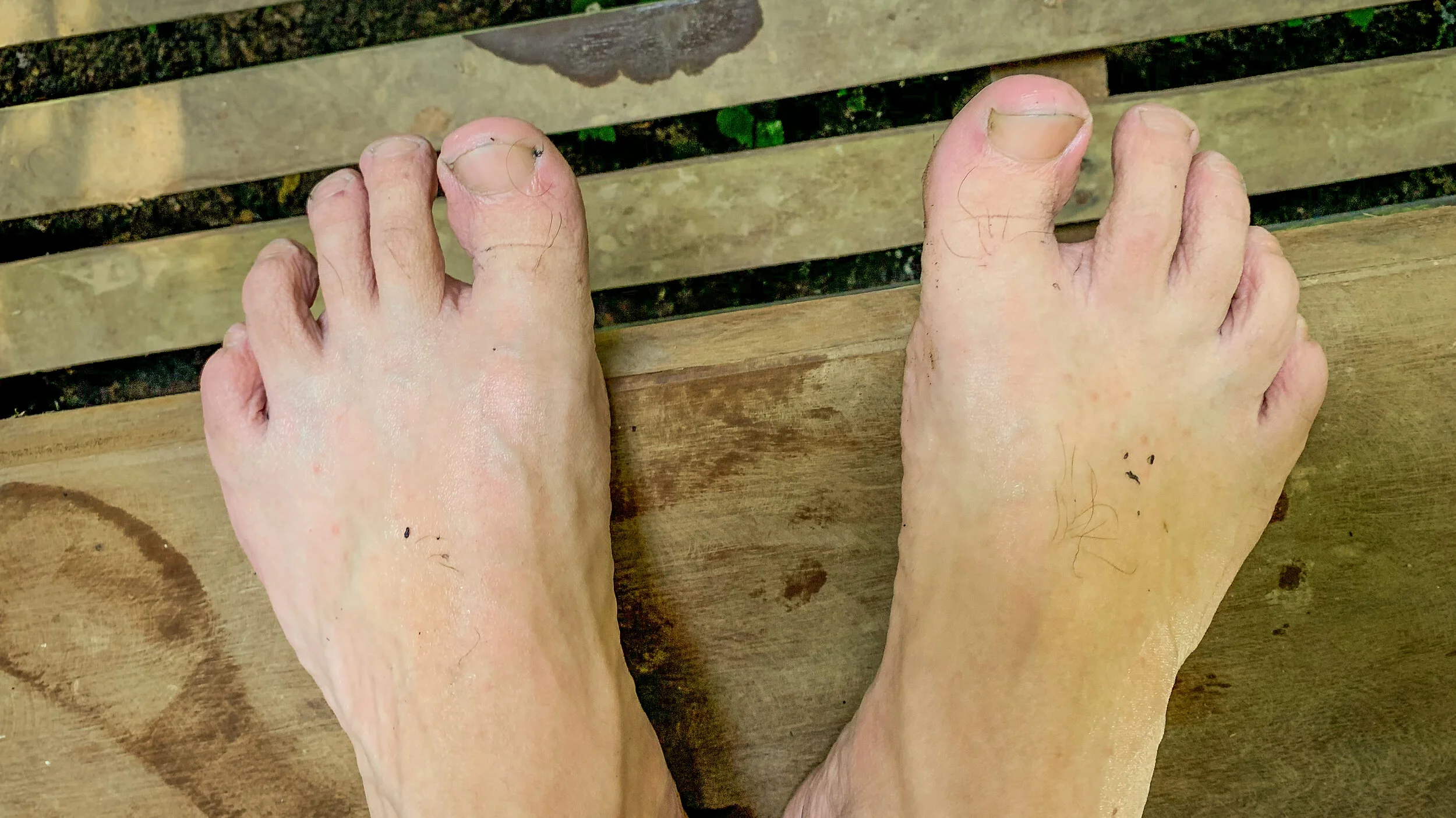 Sound recording in the Amazon rainforest expedition report — Mindful