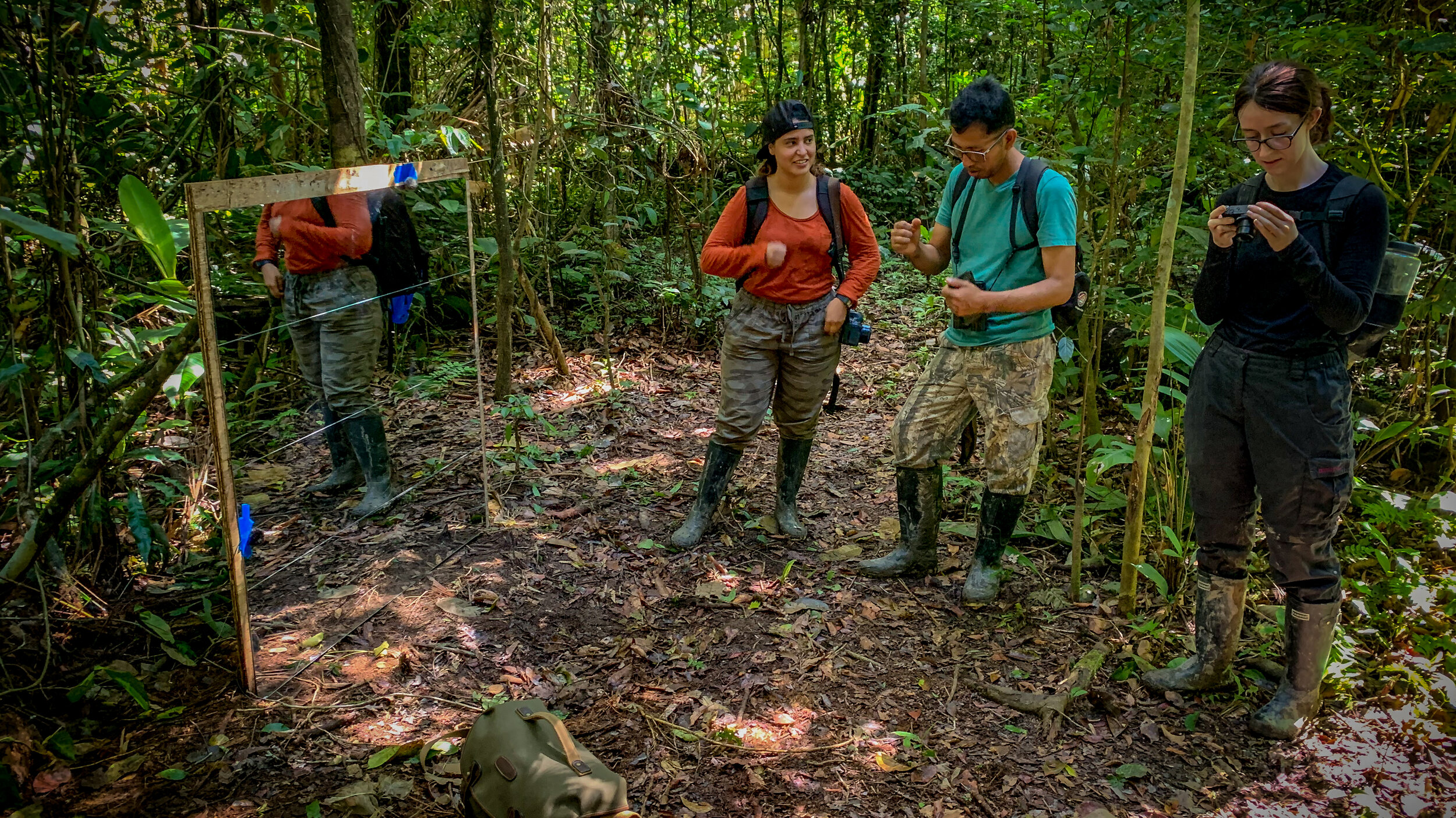 Sound recording in the Amazon rainforest - expedition report — Mindful ...