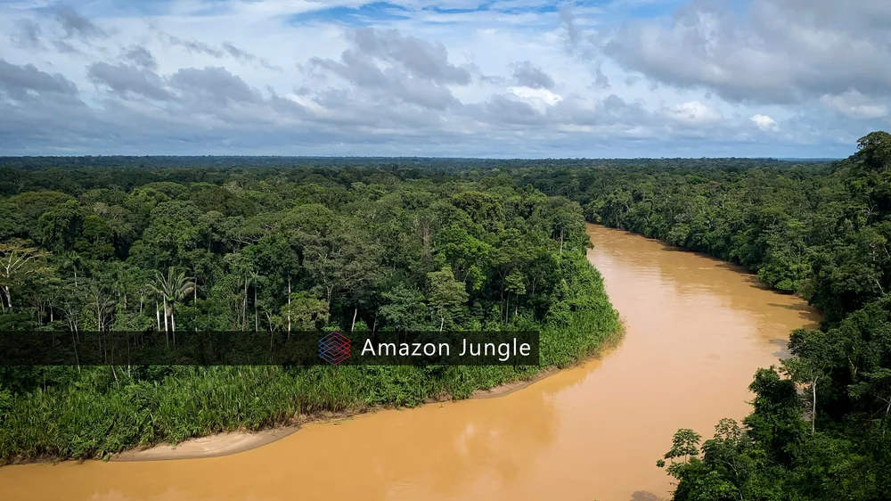 Amazon Jungle sound effects library — Mindful Audio