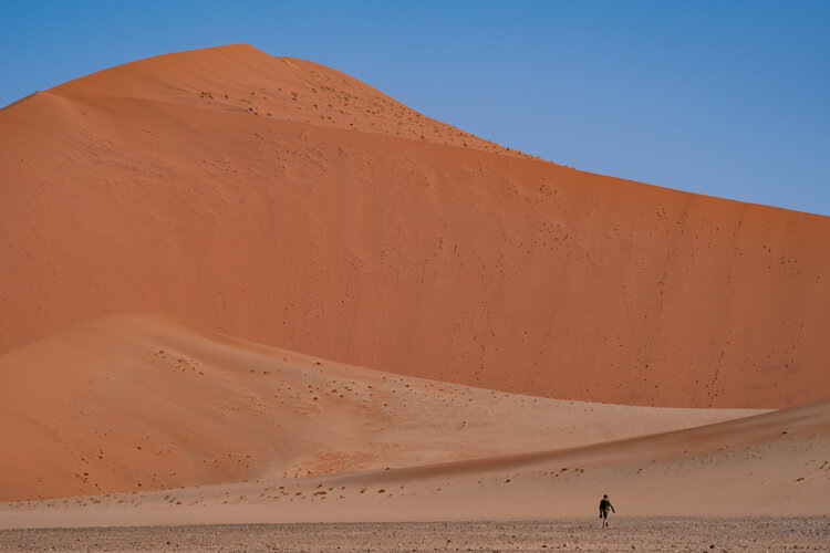 Field recording in the Namib desert