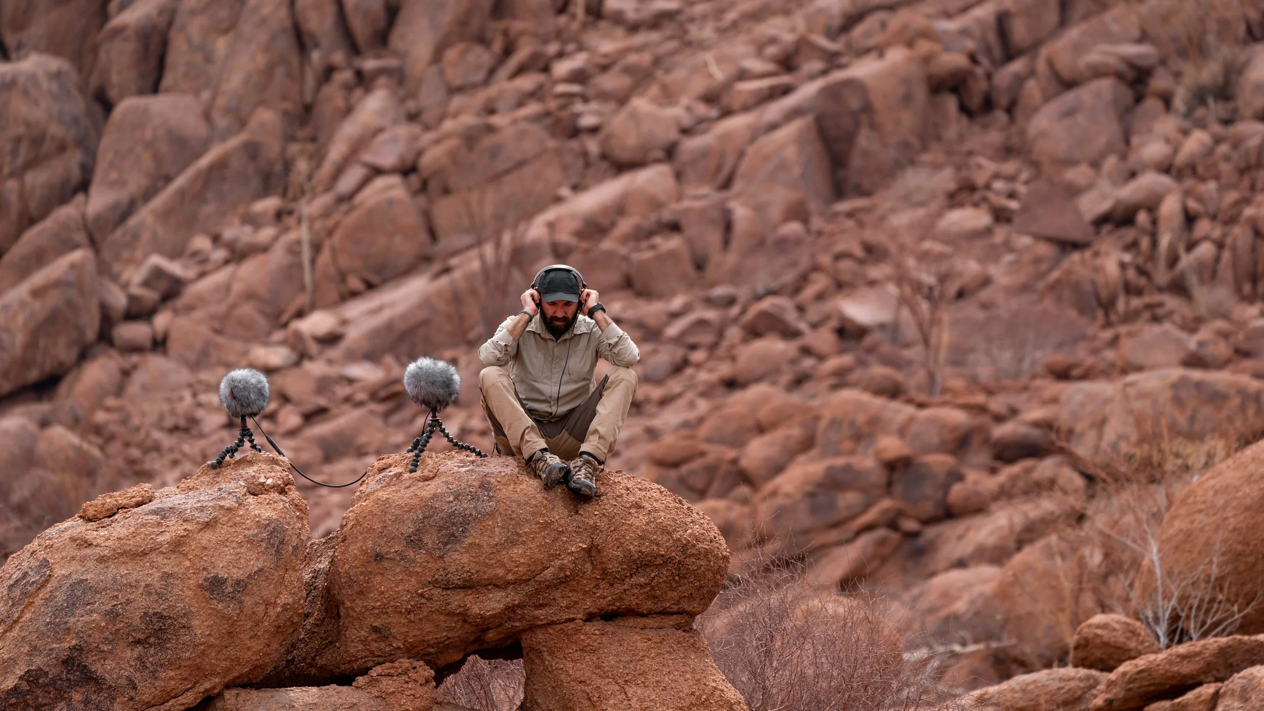 Best microphones for nature and wildlife sound recording — Mindful Audio