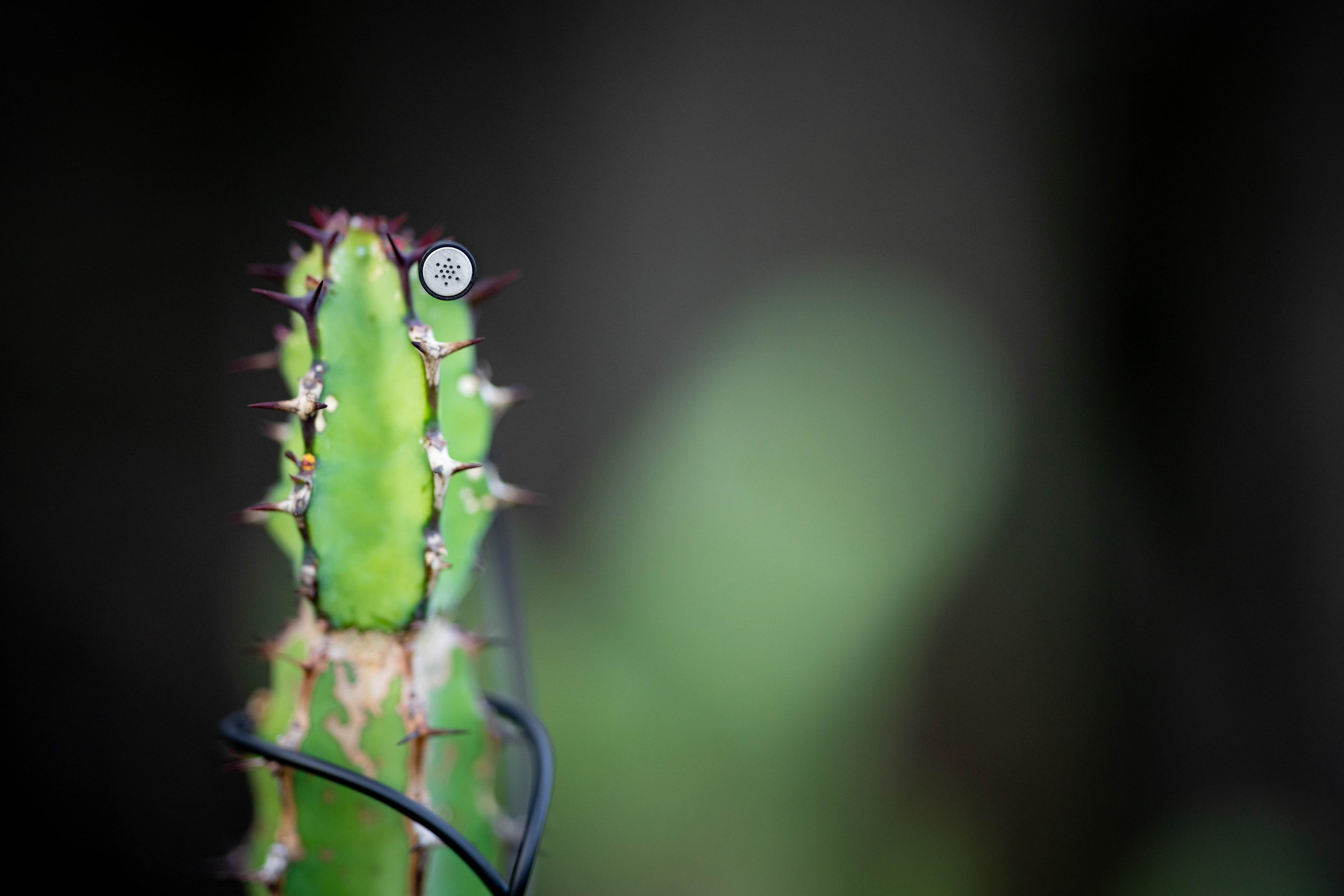 Noise and field recording